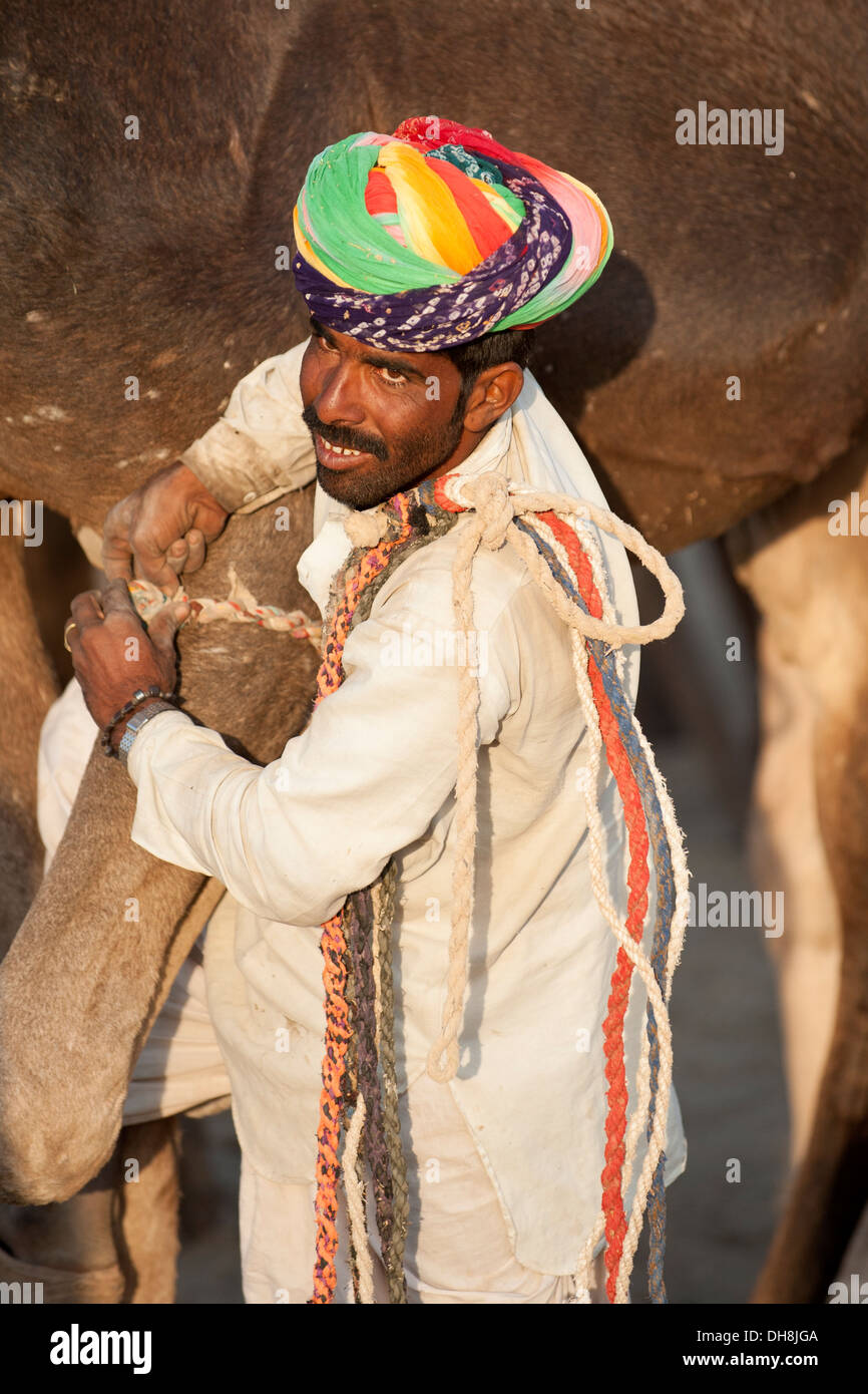 Camel herder con cammelli verso il Pushkar Camel Fair Foto Stock