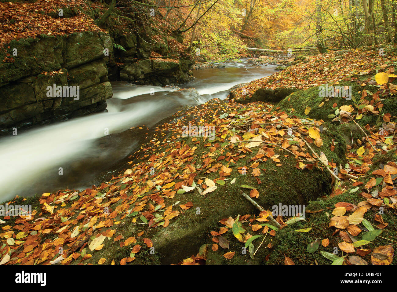 La Birks di Aberfeldy e il Moness masterizzare in autunno, Aberfeldy, Perthshire Foto Stock