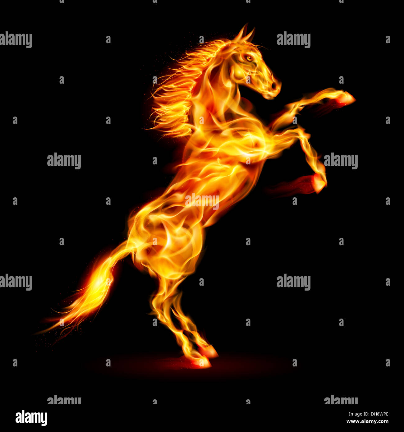 Fire allevamento di cavalli. Immagine su sfondo nero Foto stock - Alamy