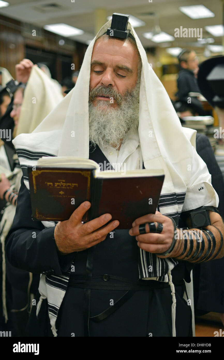 Religiosa ebraica uomo che prega indossando Teffilin, phylacteries e uno scialle  rituale a Lubavitch sede a Brooklyn, New York Foto stock - Alamy