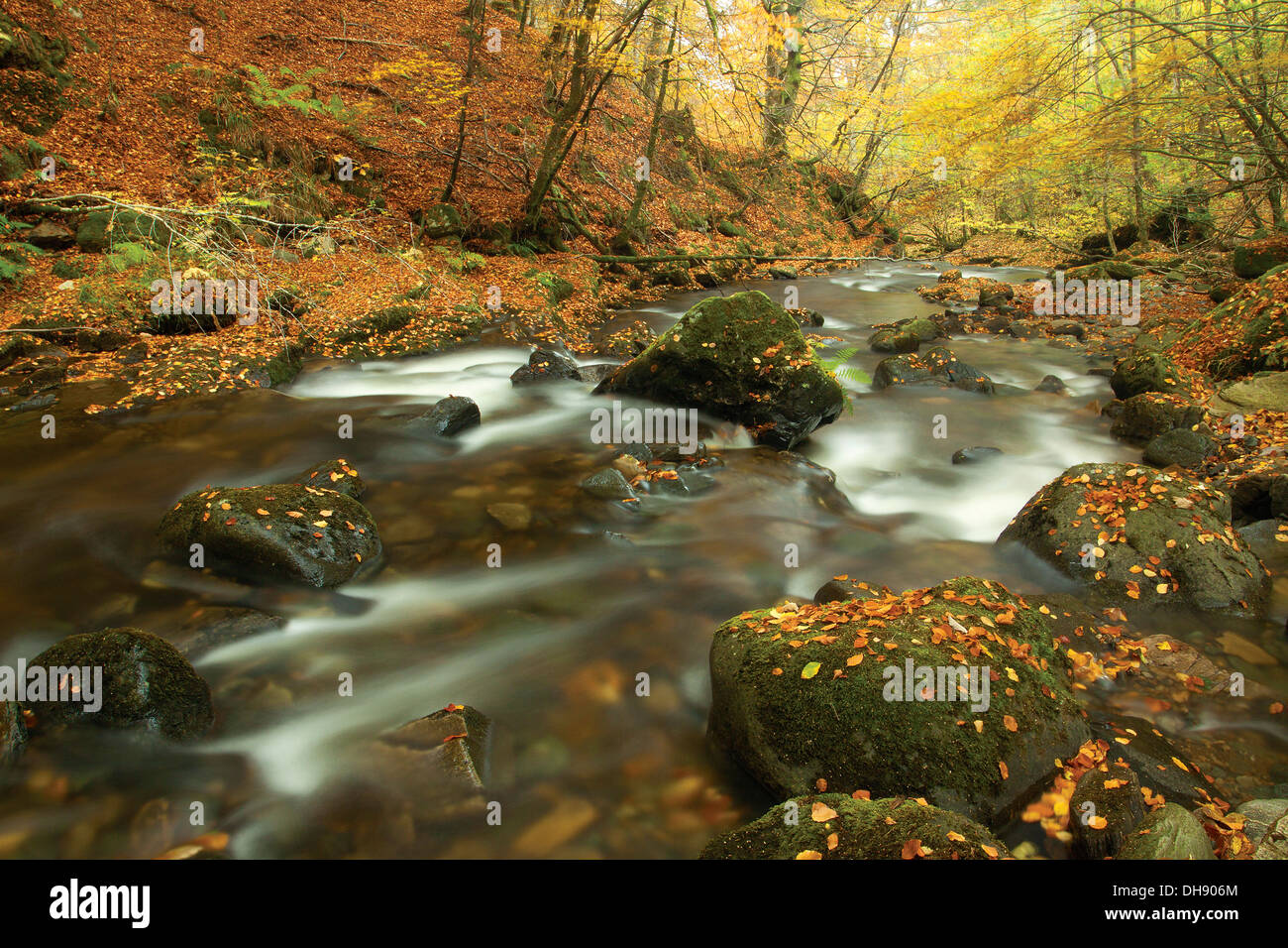La Birks di Aberfeldy e il Moness masterizzare in autunno, Aberfeldy, Perthshire Foto Stock