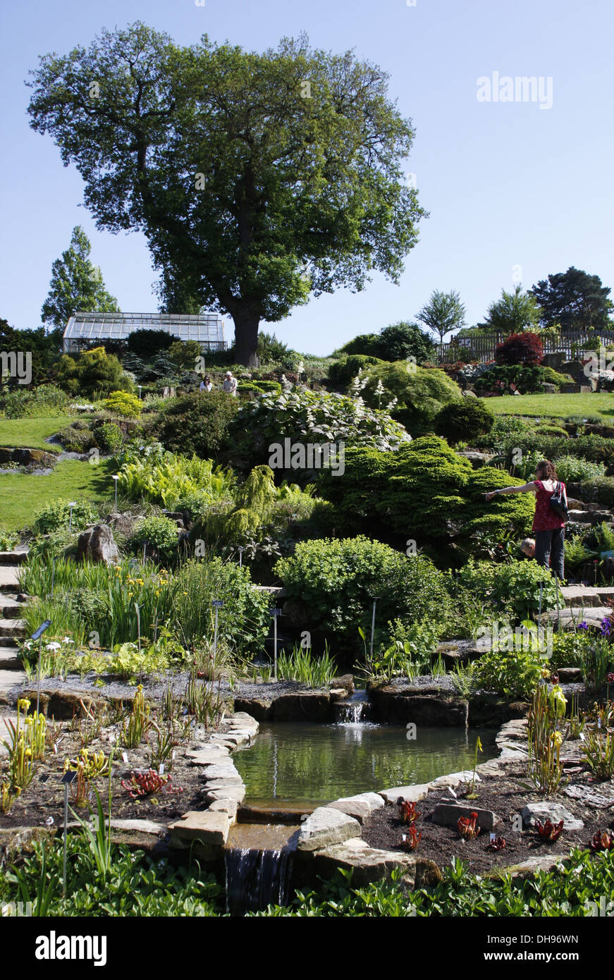 RHS Wisley Gardens in estate Foto Stock