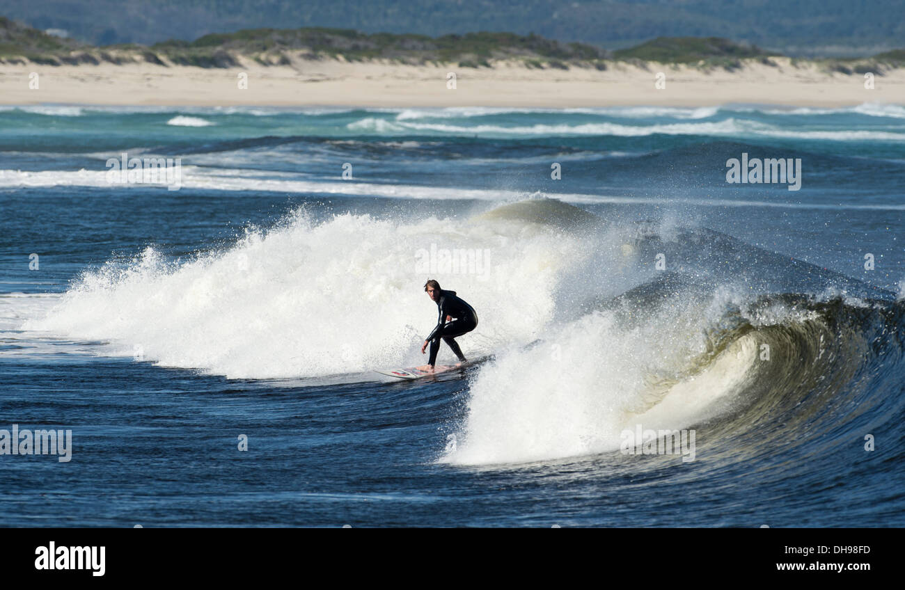 Surfer cavalcando le onde, Western Cape, Sud Africa Foto Stock
