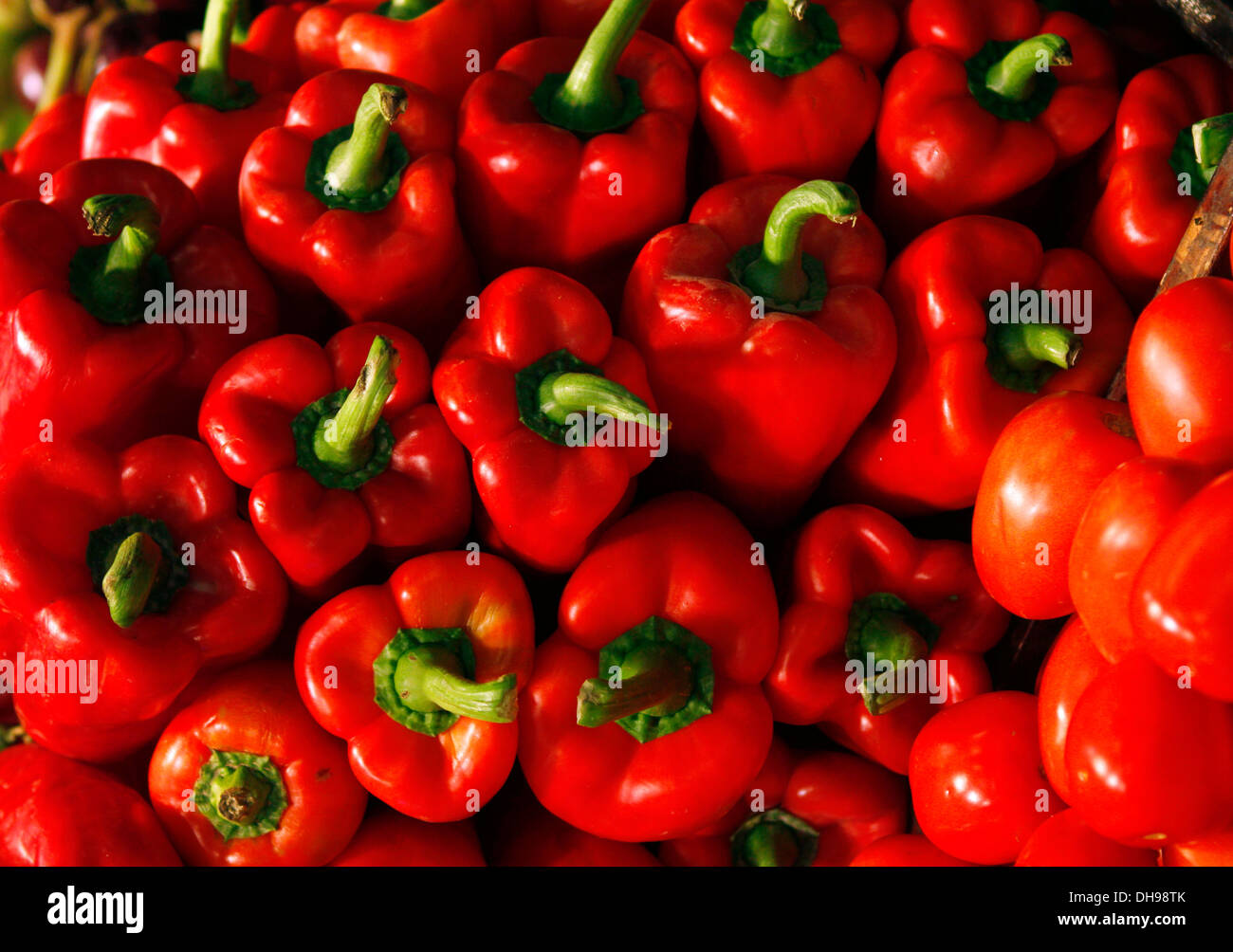 Peperone rosso visto su un mercato locale a Maiorca, SPAGNA Foto Stock