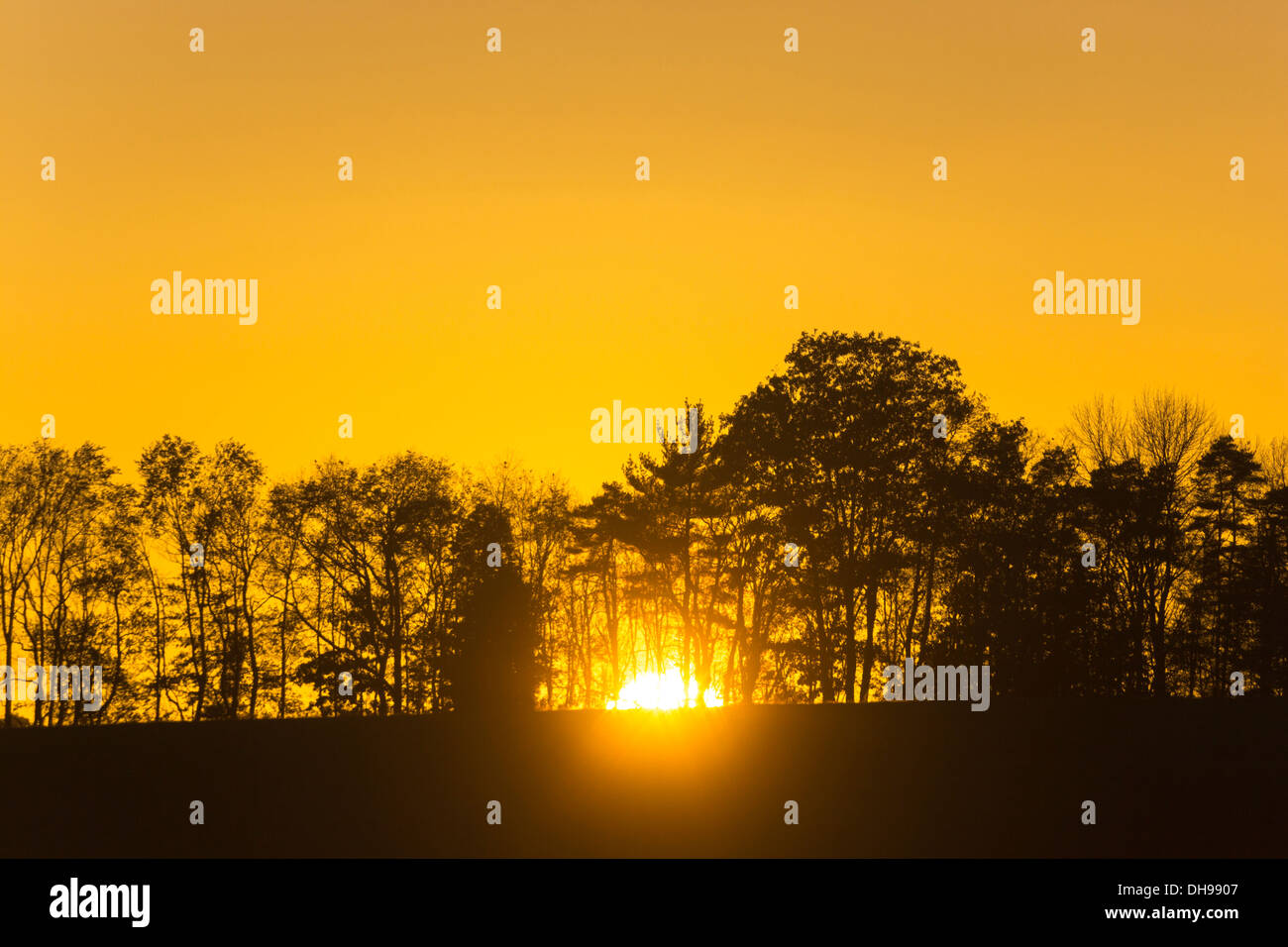 Tramonto attraverso la linea di cresta alberi Jefferson county PENNSYLVANIA USA Foto Stock