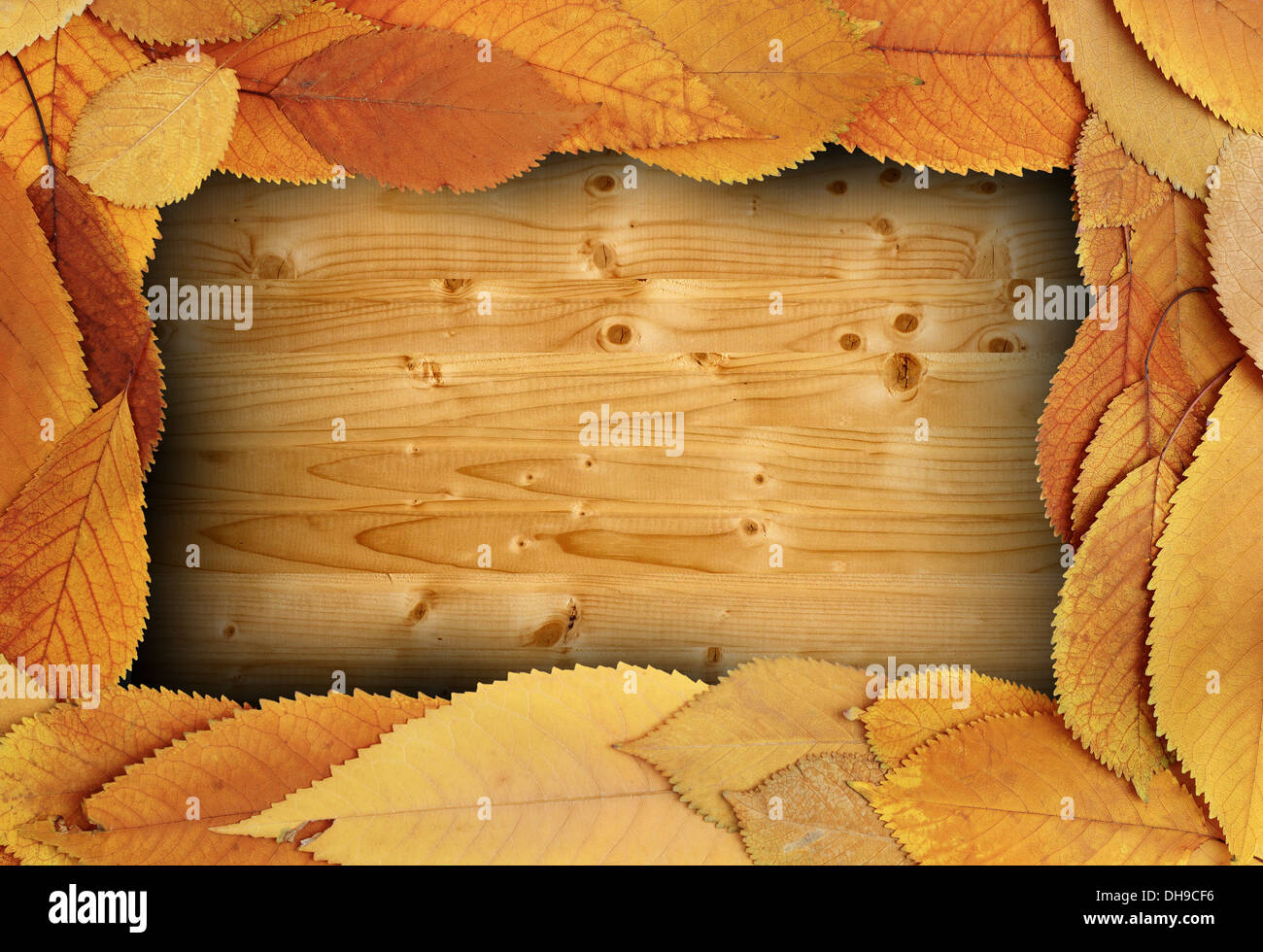 Sfondo di ringraziamento per la tua progettazione con cherry sbiadito fogliame telaio sul tavolo di legno Foto Stock