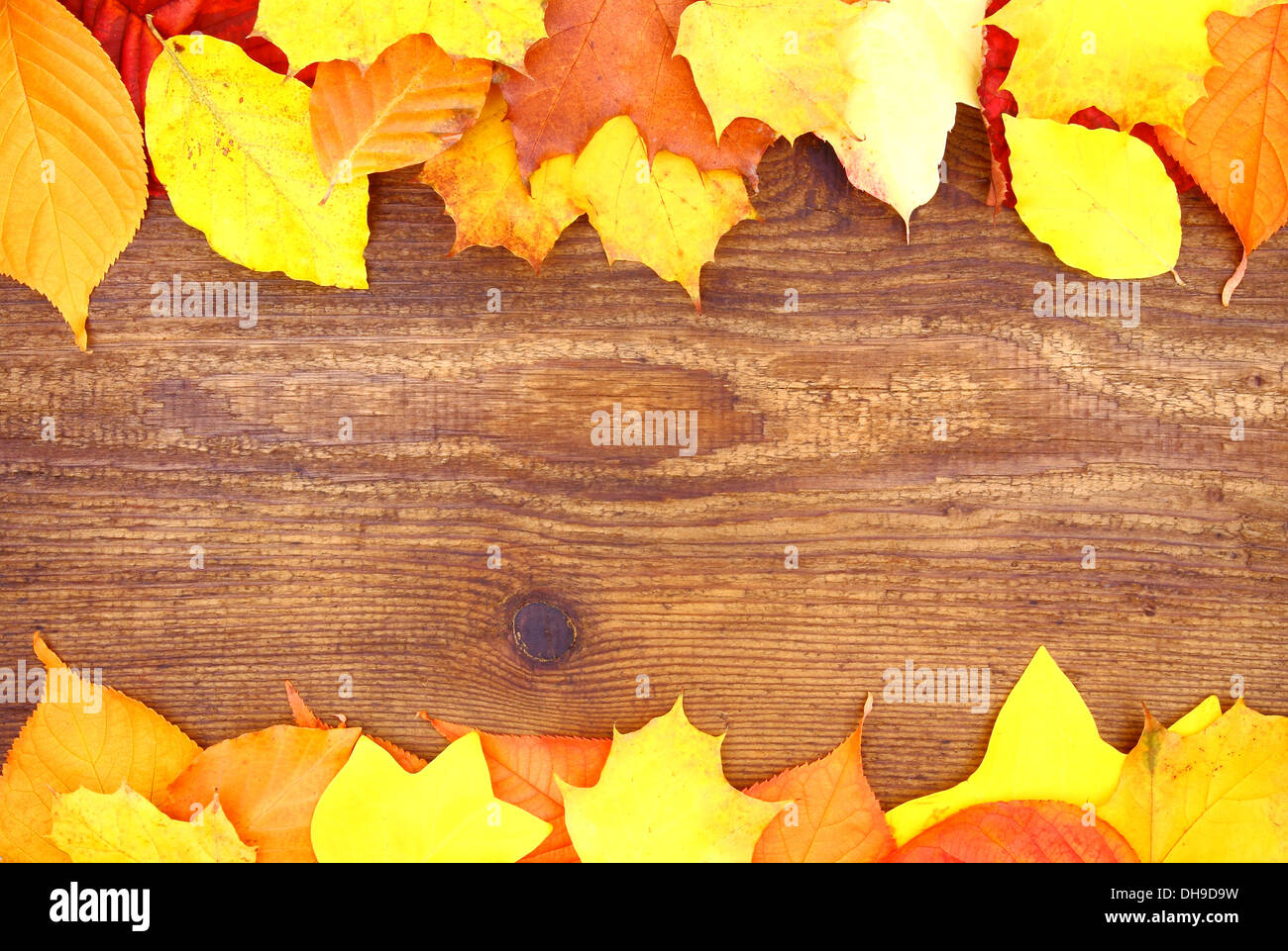 Rosso e giallo di foglie di albero su uno sfondo di legno, close up Foto Stock