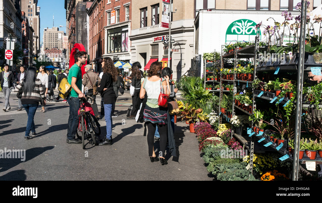 Impianti per giardinieri urbano situato presso l'ingresso nord di Union Square greenmarket dove la gente socializzare sul glorioso giorno di autunno Foto Stock