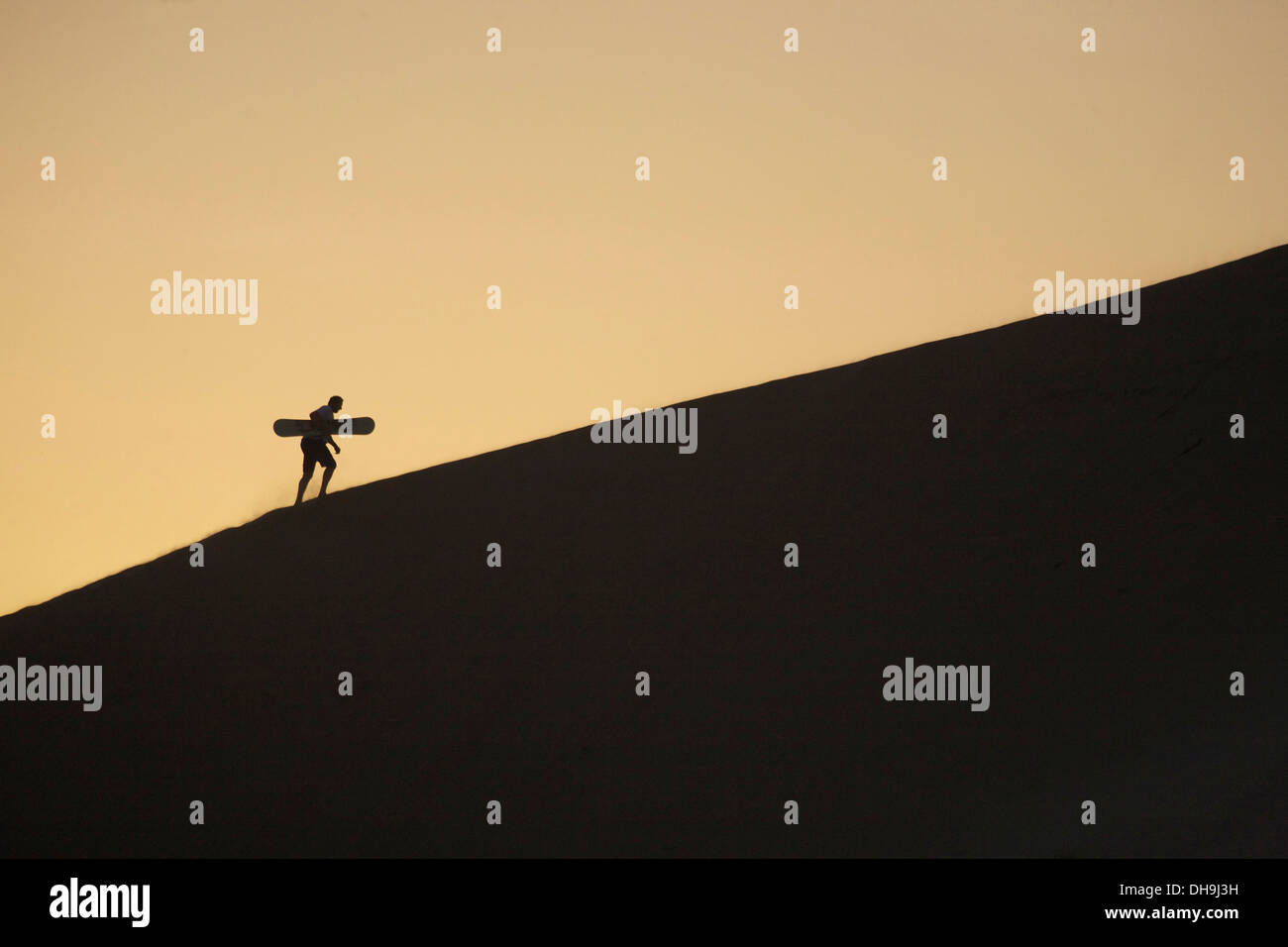 Lone sabbia boarder sale lungo il pendio in Liwa Desert, Abu Dhabi, Emirati arabi uniti Foto Stock