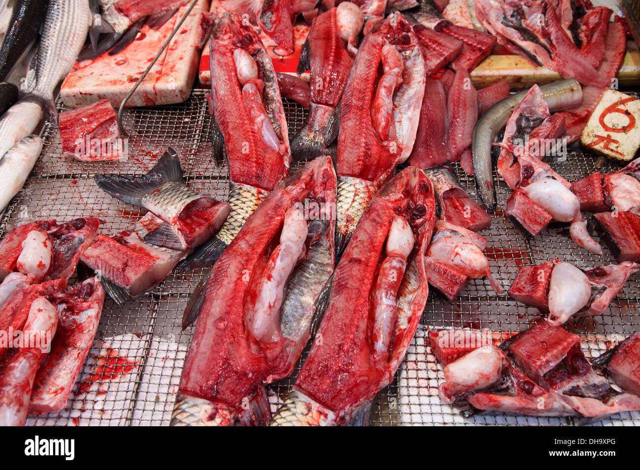 Mercato del pesce di Hong Kong Foto Stock