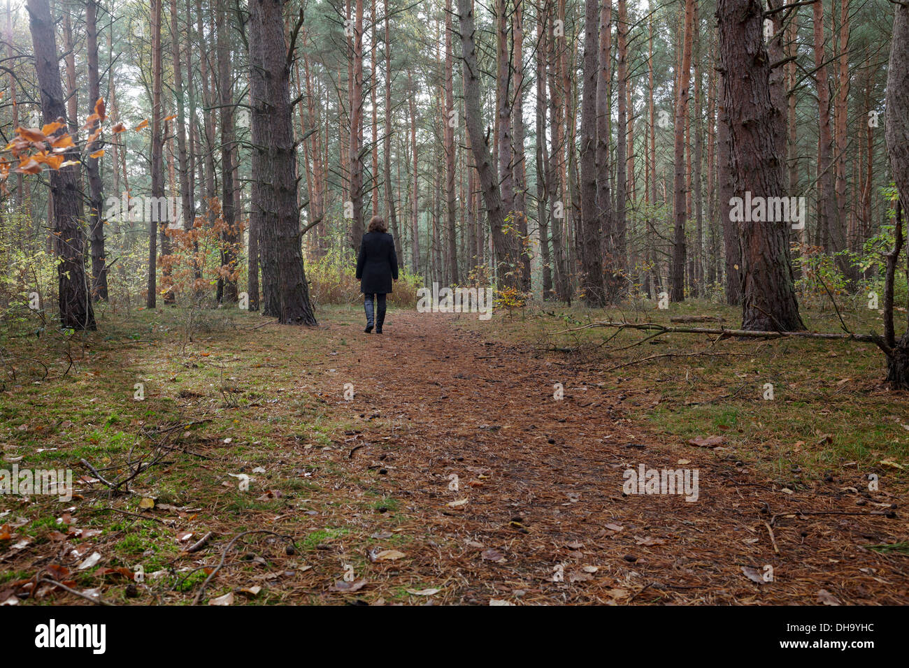 Donna che cammina da sola in una foresta Foto Stock