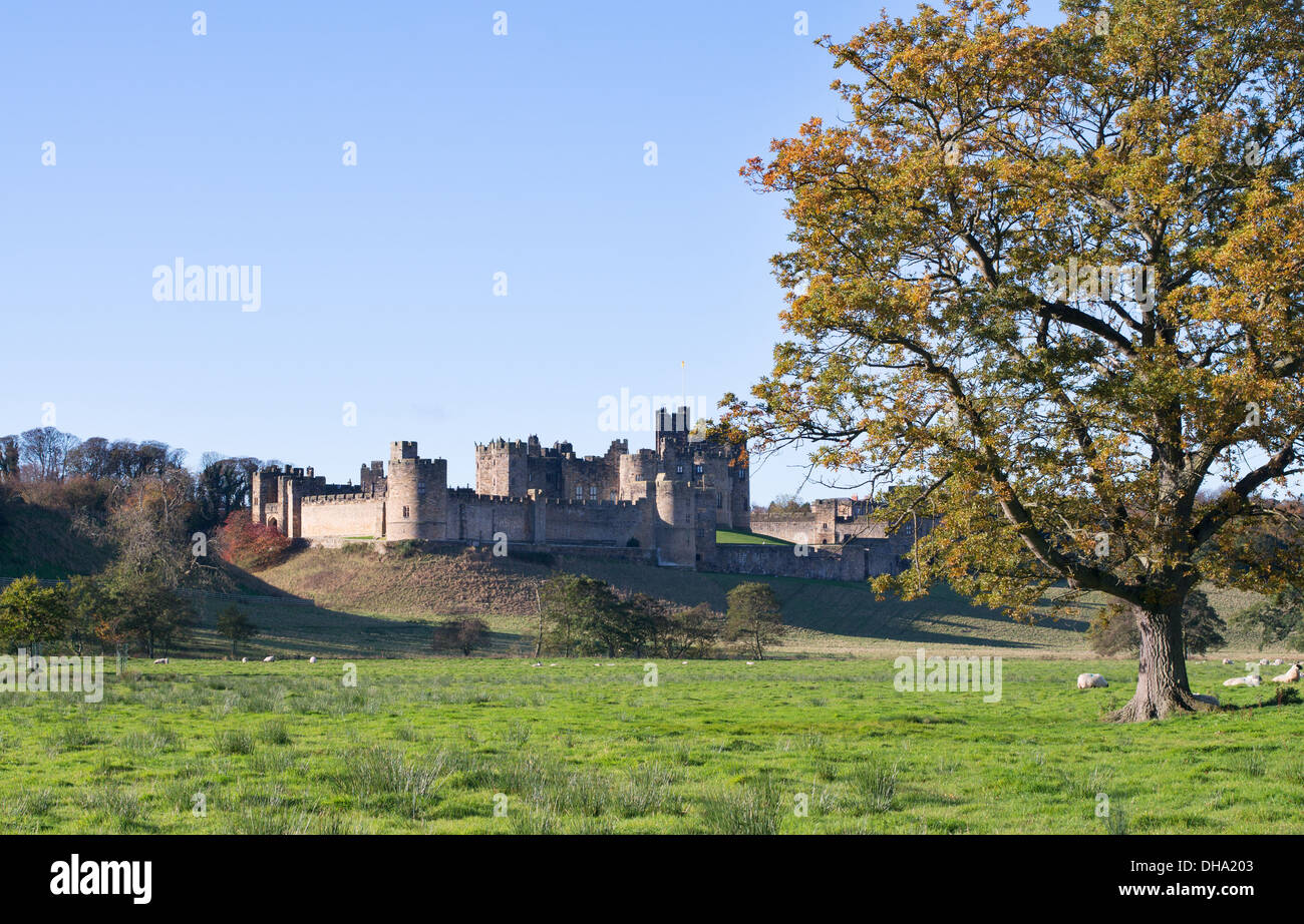 Alnwick Castle, Northumberland, England, Regno Unito Foto Stock