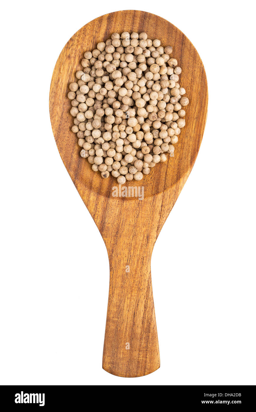 Pepe bianco (Piper nigrum) chicchi di pepe nel cucchiaio di legno su sfondo bianco Foto Stock