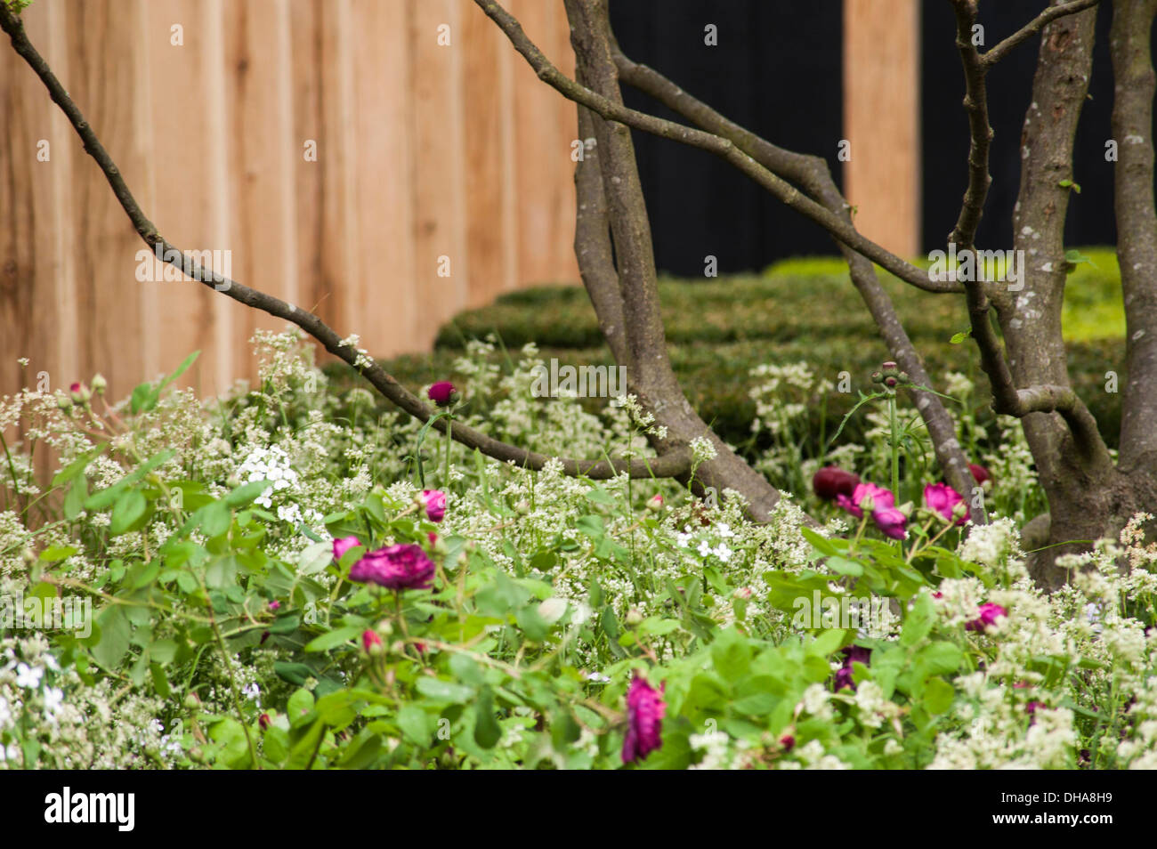 Chelsea Flower Show 2013, Daily Telegraph garden, designer Christopher Bradley foro. Medaglia d'oro. Foto Stock