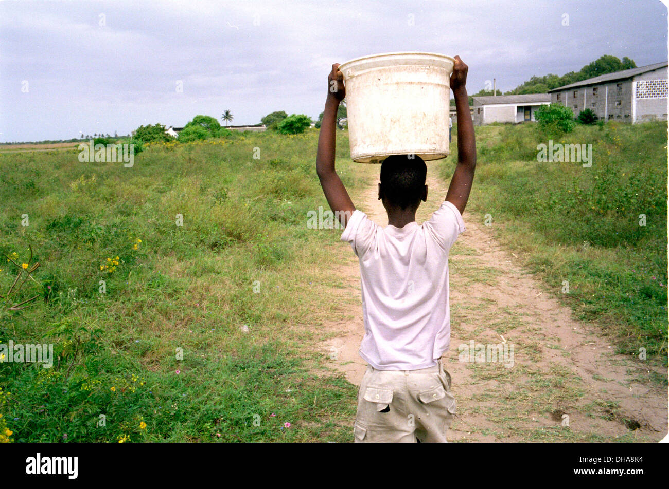 Ipjr09687114. 17-21 aprile 2005 il Mozambico negativo colore 35mm i bambini da una comunità alla periferia di Maputo raccolgono Foto Stock