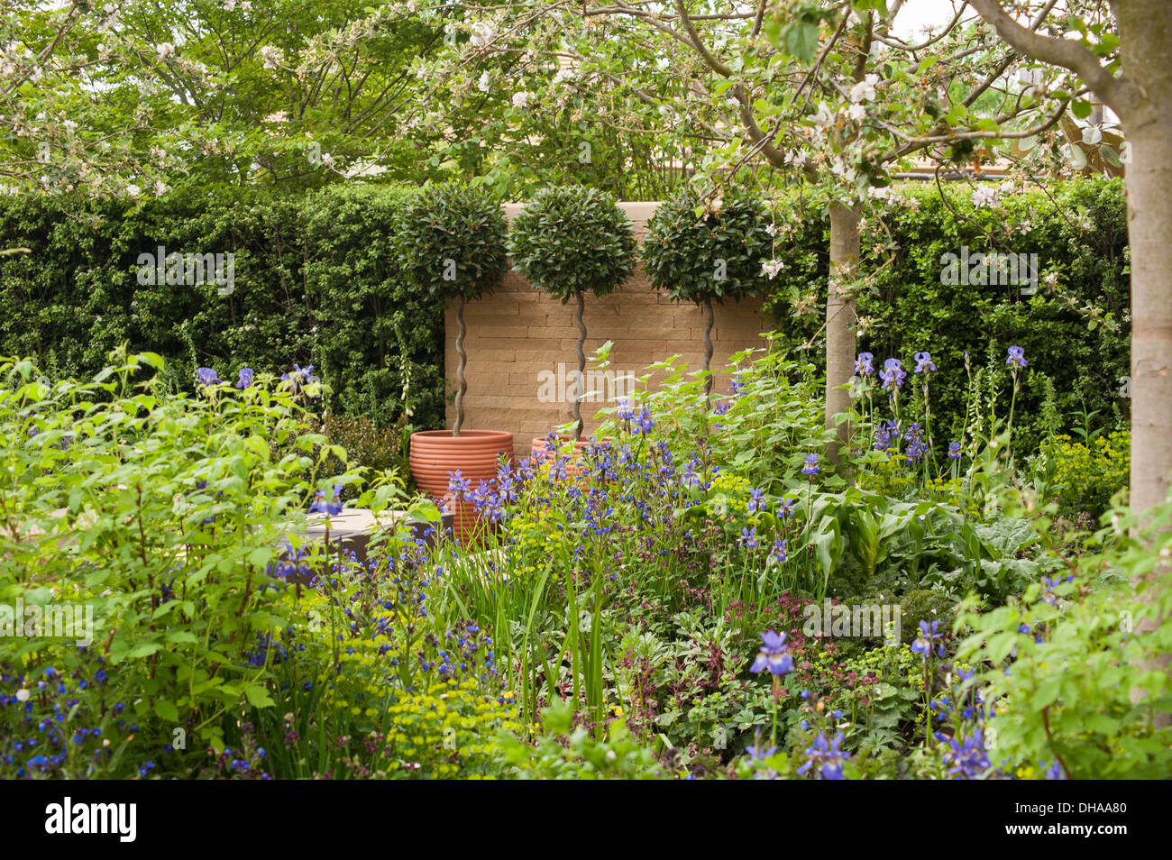 Chelsea Flower Show 2013, Homebase giardino, 'Sgrazie ai semi di modifica' Designer Adam Frost. Medaglia d'oro. Foto Stock