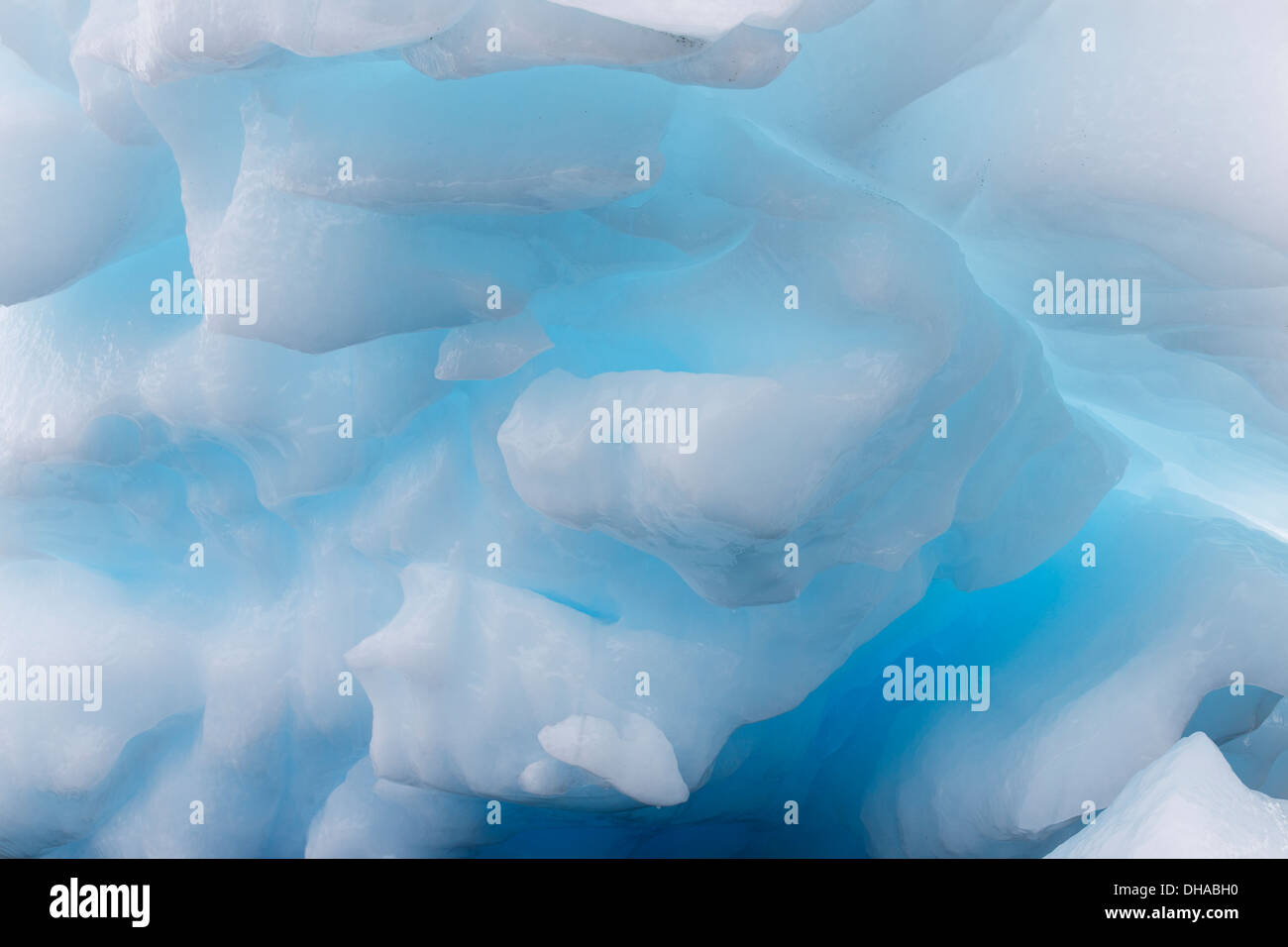 Iceberg nel collegio fiordo, Prince William Sound, Chugach National Forest, Alaska. Foto Stock