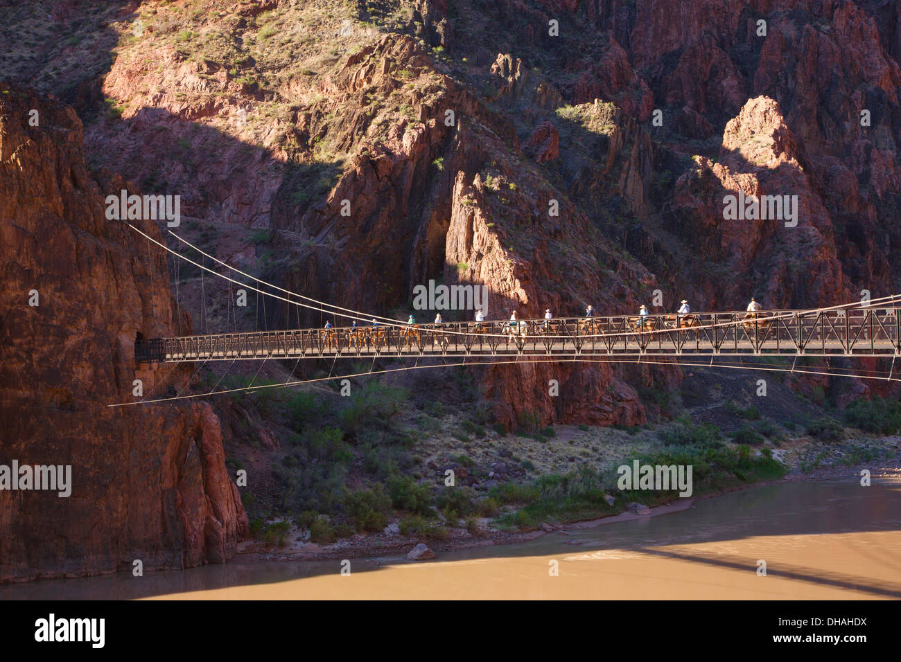 Pack muli attraversare il ponte di sospensione e tunnel sulla South Kaibab Trail nel fondo del Grand Canyon National Park, Arizona Foto Stock