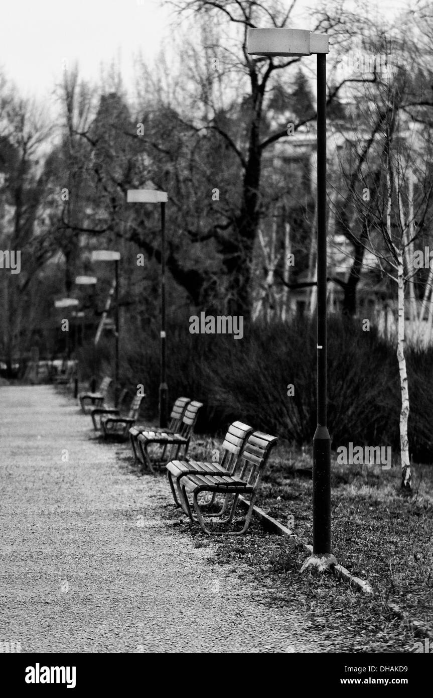Lonely lane in un parco in inverno. Versione in bianco e nero. Foto Stock
