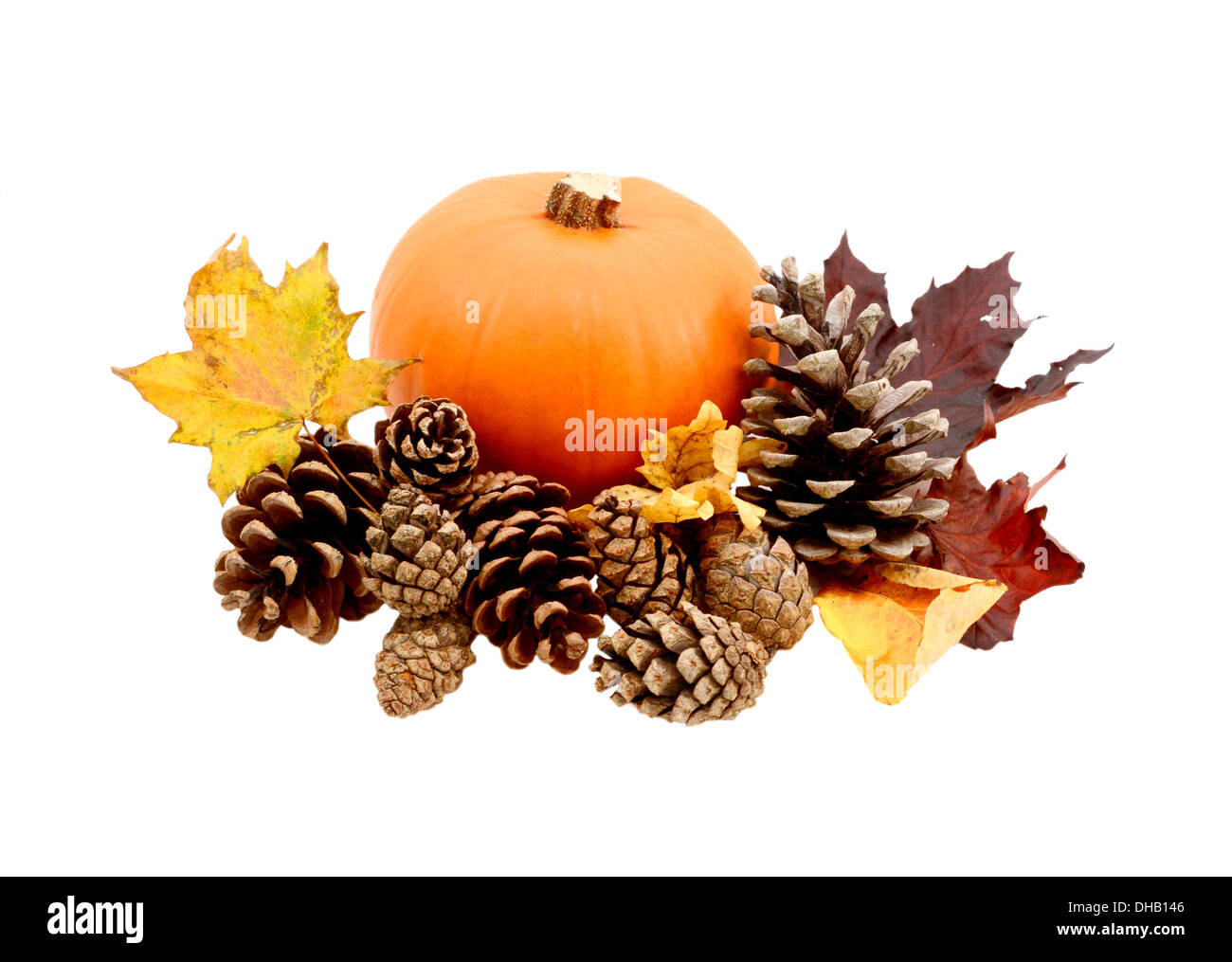Foglie autunnali e coni fir con una zucca matura isolata su uno sfondo bianco Foto Stock