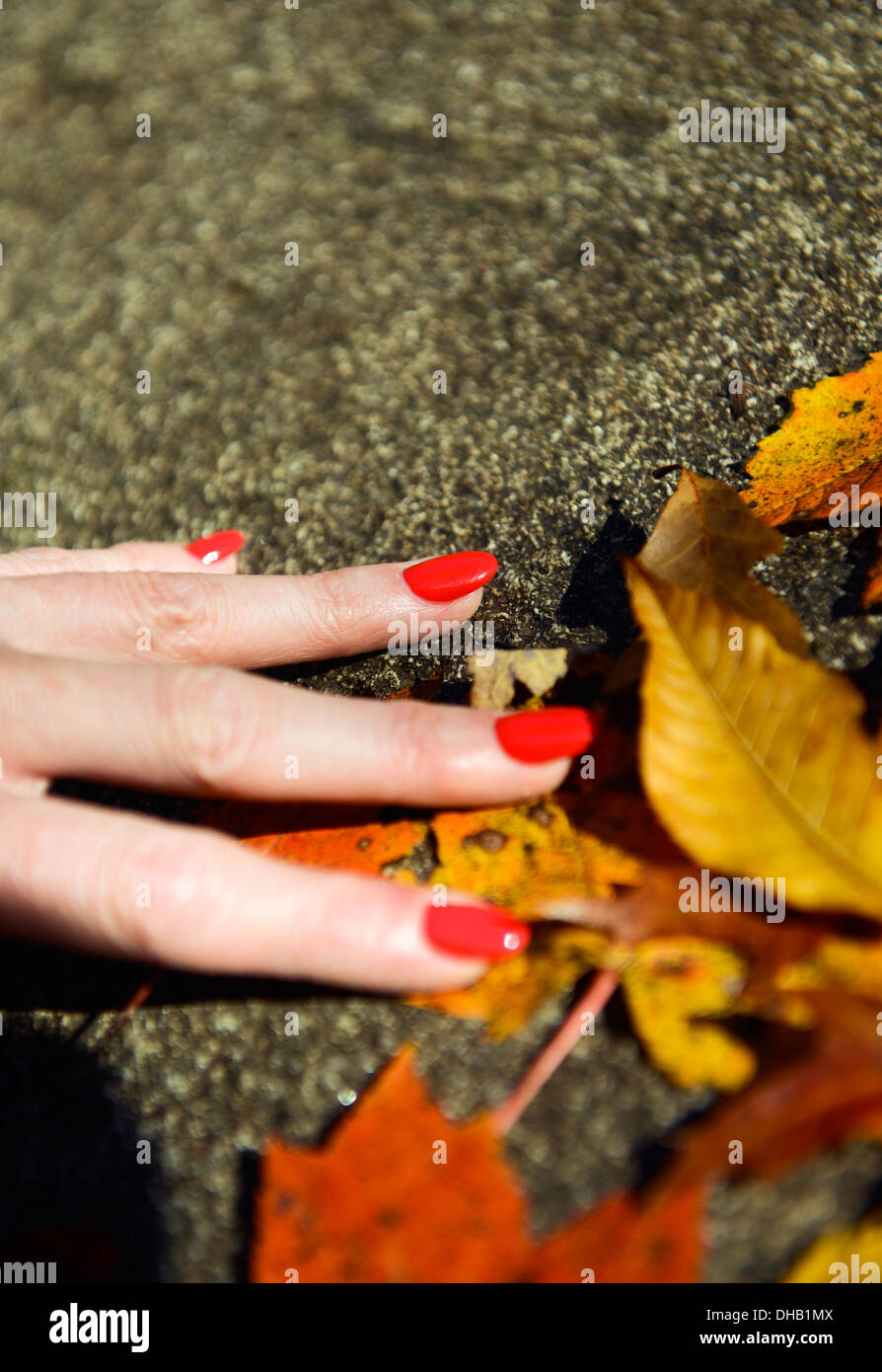 Un ladiy la mano con red dito unghie tenendo le foglie di autunno Foto Stock