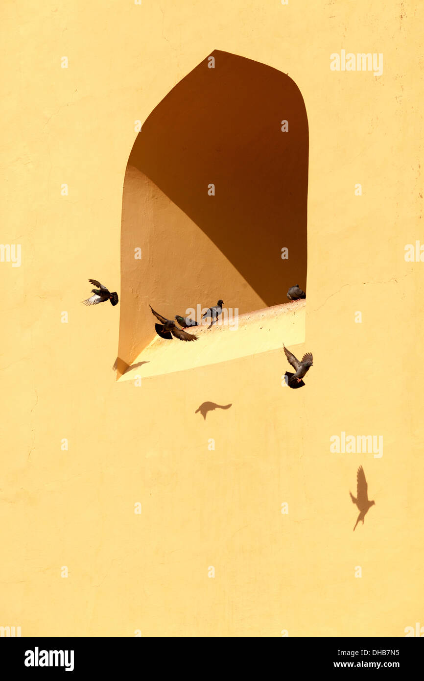 I piccioni e le ombre del wWindows od Jantar Mantar,Jaipur India Foto Stock