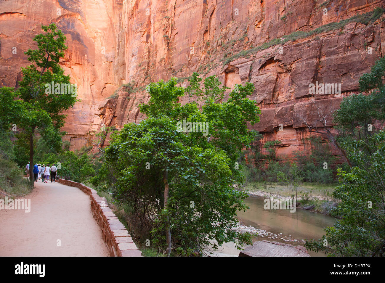 Riverside Walk nei pressi del tempio di Sinawava, Parco Nazionale Zion, Utah. Foto Stock