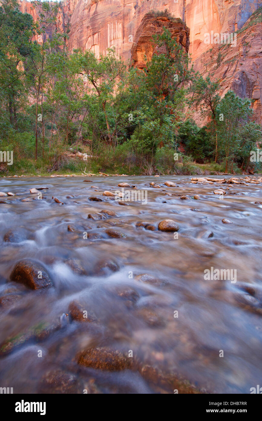 Fiume vergine nei pressi del tempio di Sinawava, Parco Nazionale Zion, Utah. Foto Stock