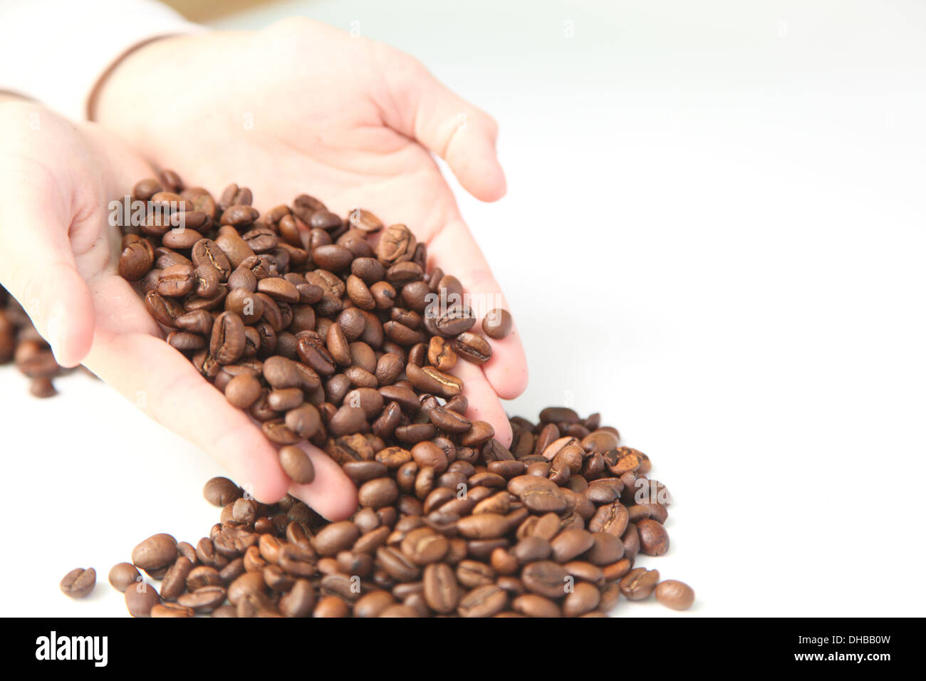 I chicchi di caffè nelle mani di un bambino Foto Stock