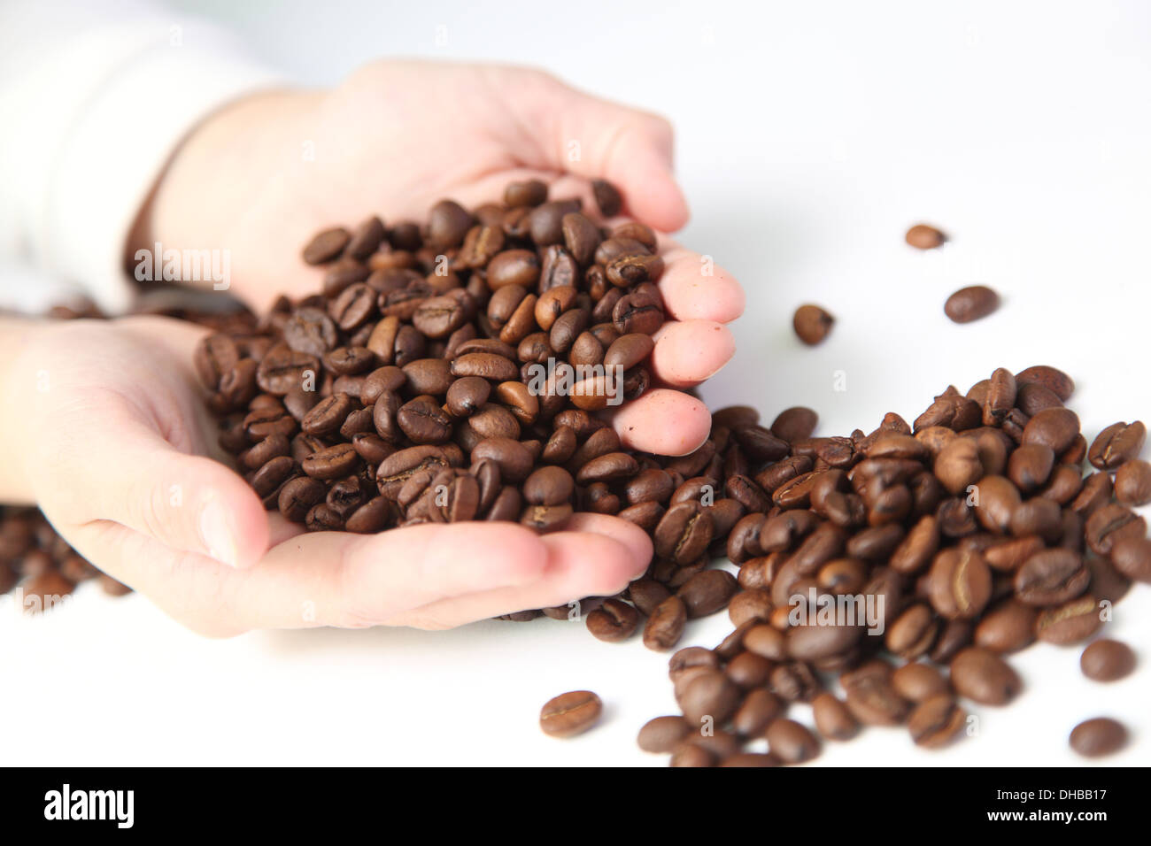 I chicchi di caffè nelle mani di un bambino Foto Stock