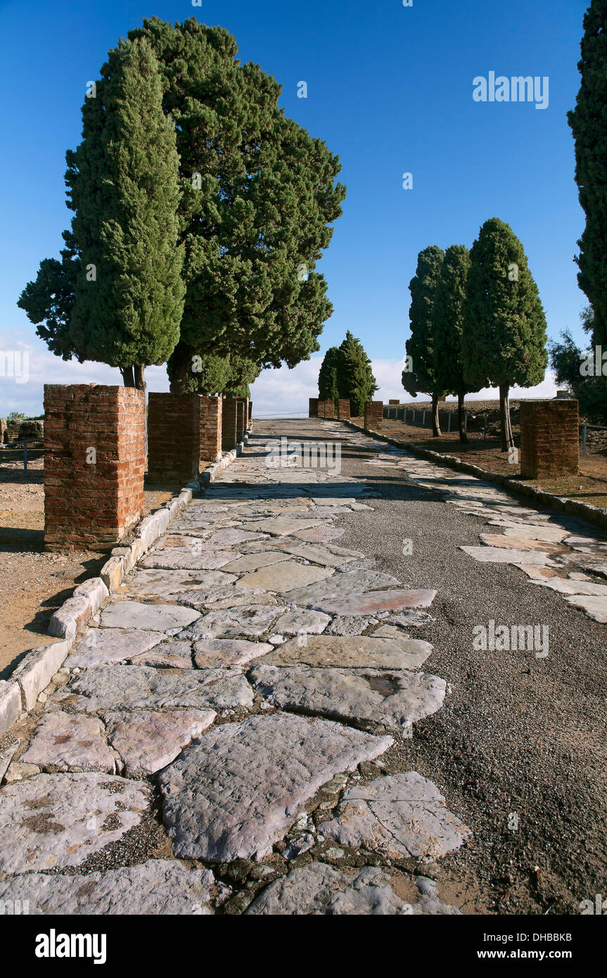 Strada romana e le rovine Romane di Italica - II secolo, Santiponce, Siviglia-provincia, regione dell'Andalusia, Spagna, Europa Foto Stock