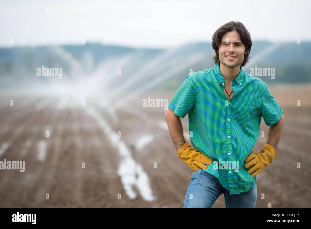 Un vegetale organico farm, con sprinkler acqua di irrigazione dei campi. Un uomo in abiti da lavoro con le mani sui suoi fianchi. Foto Stock