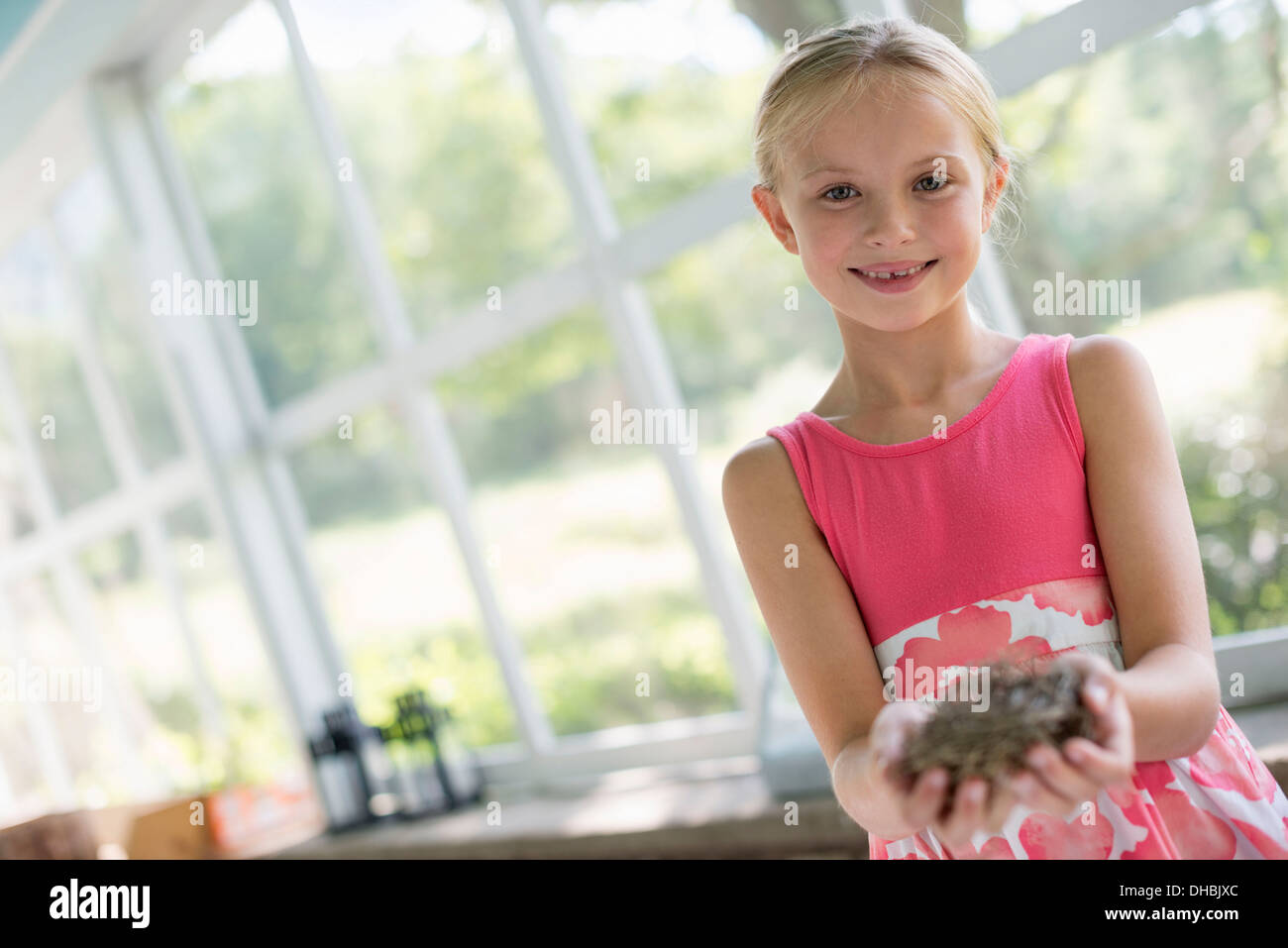 Una giovane ragazza in una cucina che indossa un abito rosa. Tenendo un nido. Foto Stock