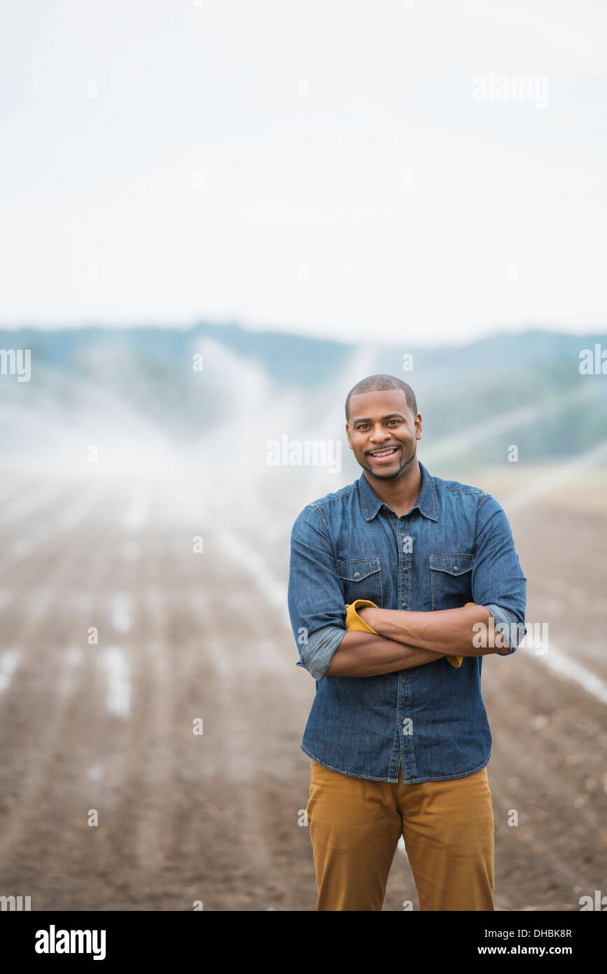 Un vegetale organico farm, con sprinkler acqua di irrigazione dei campi. Un uomo in abiti da lavoro. Foto Stock