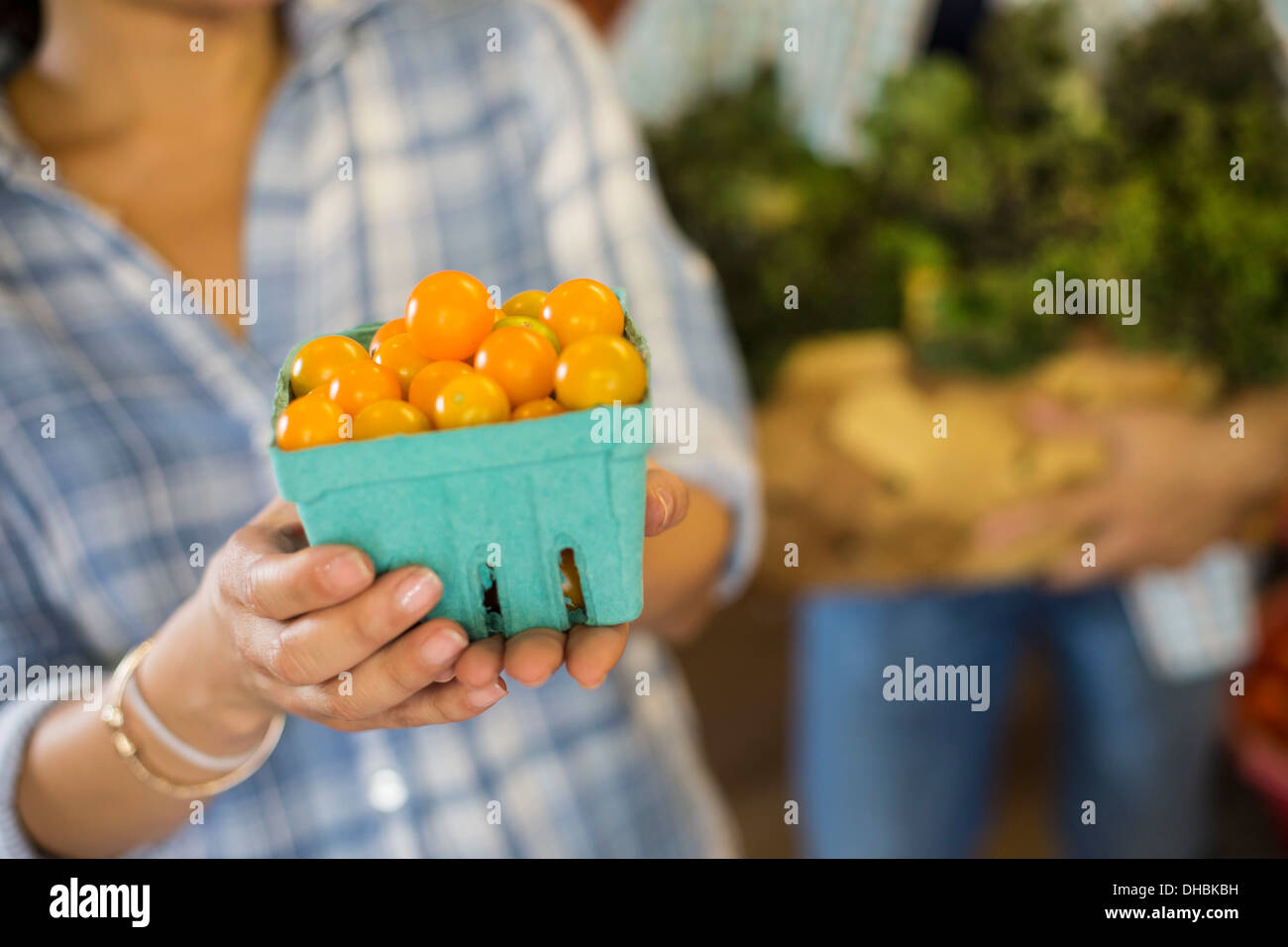 Due persone con cestini di pomodori ricci e le verdure a foglia verde. Lavorando su di una azienda agricola biologica. Foto Stock
