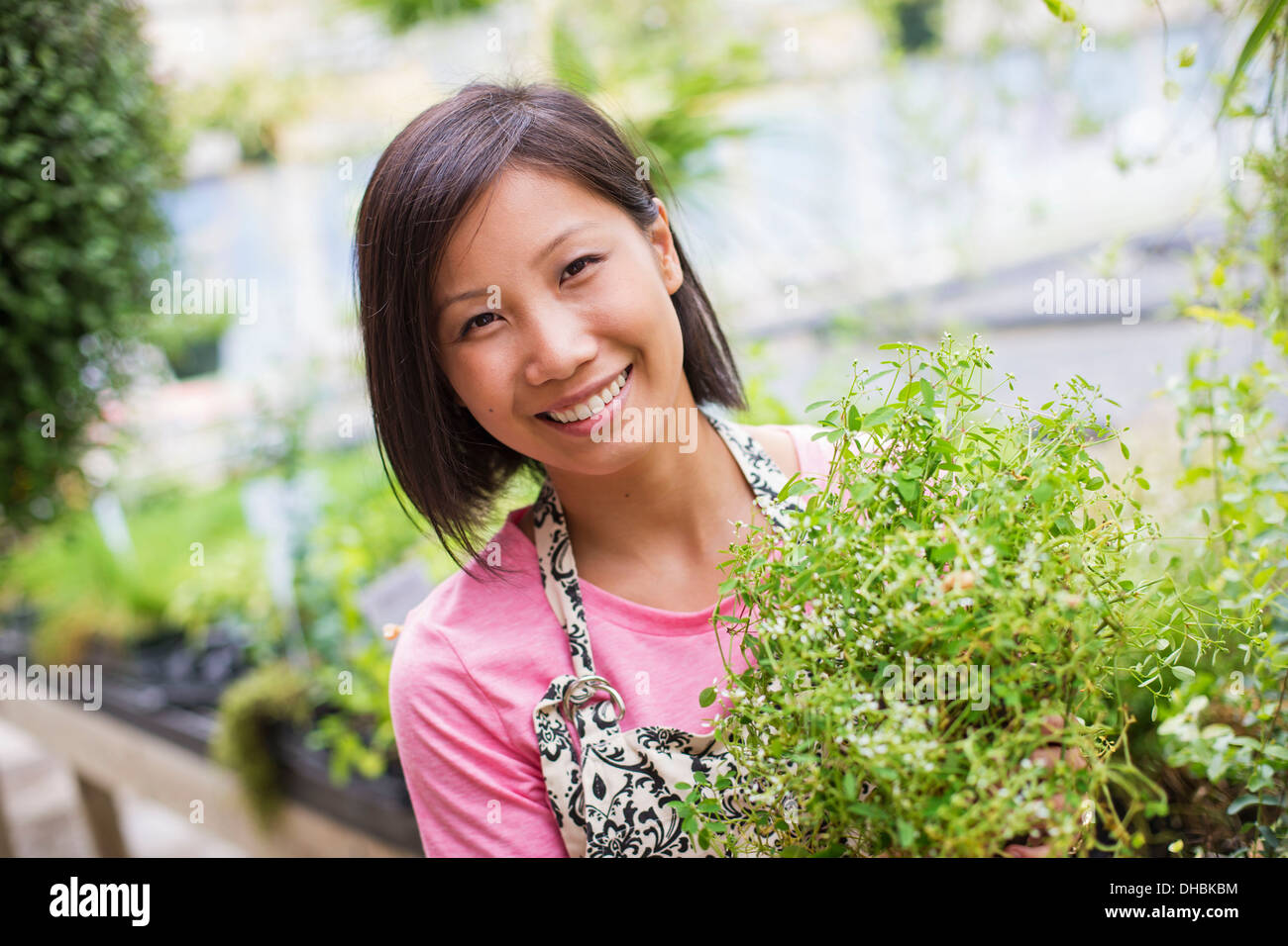 Lavorando su di una azienda agricola biologica. Una donna che tende giovani piante in una casa di vetro. Foto Stock