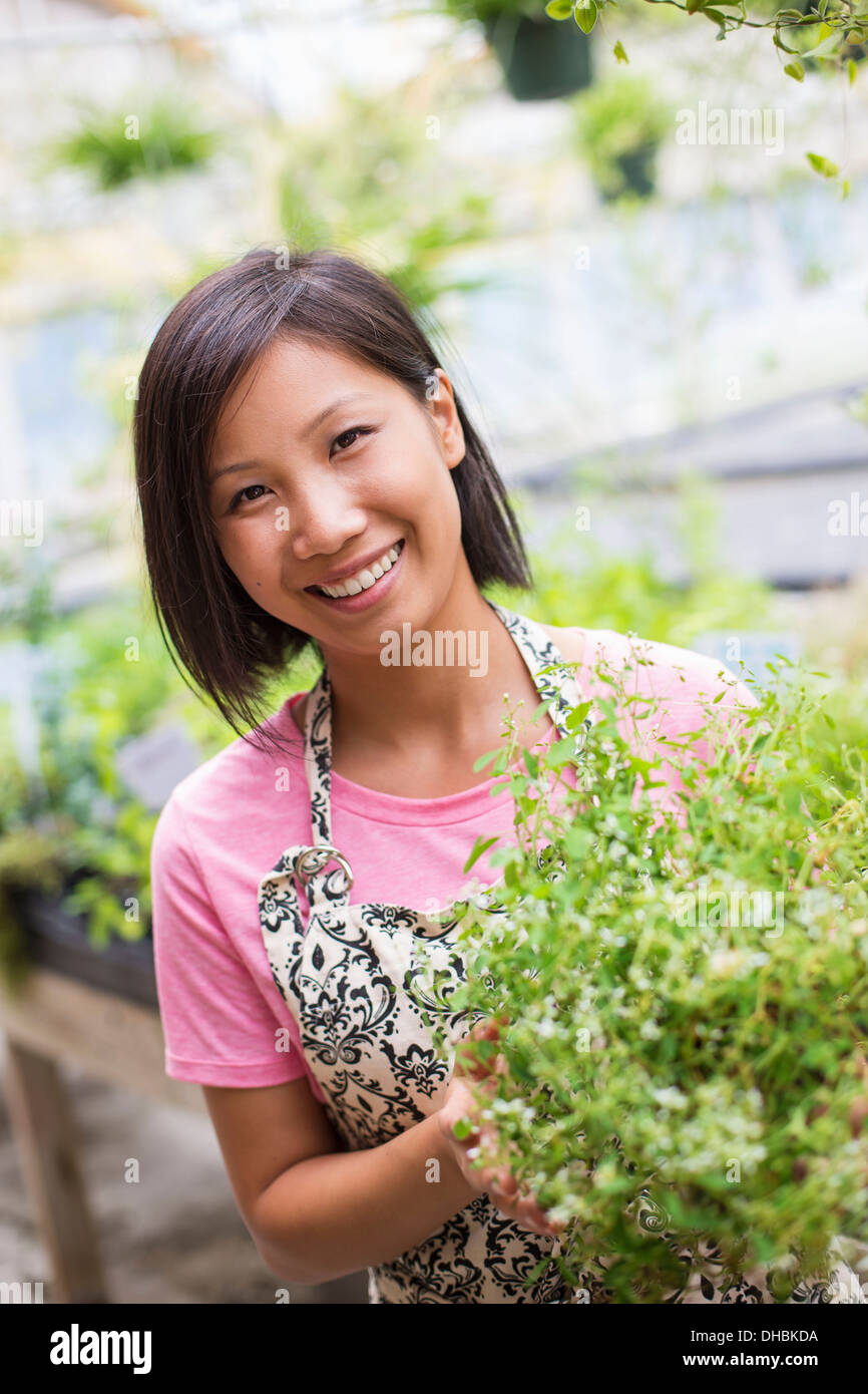 Lavorando su di una azienda agricola biologica. Una donna che tende giovani piante in una casa di vetro. Foto Stock