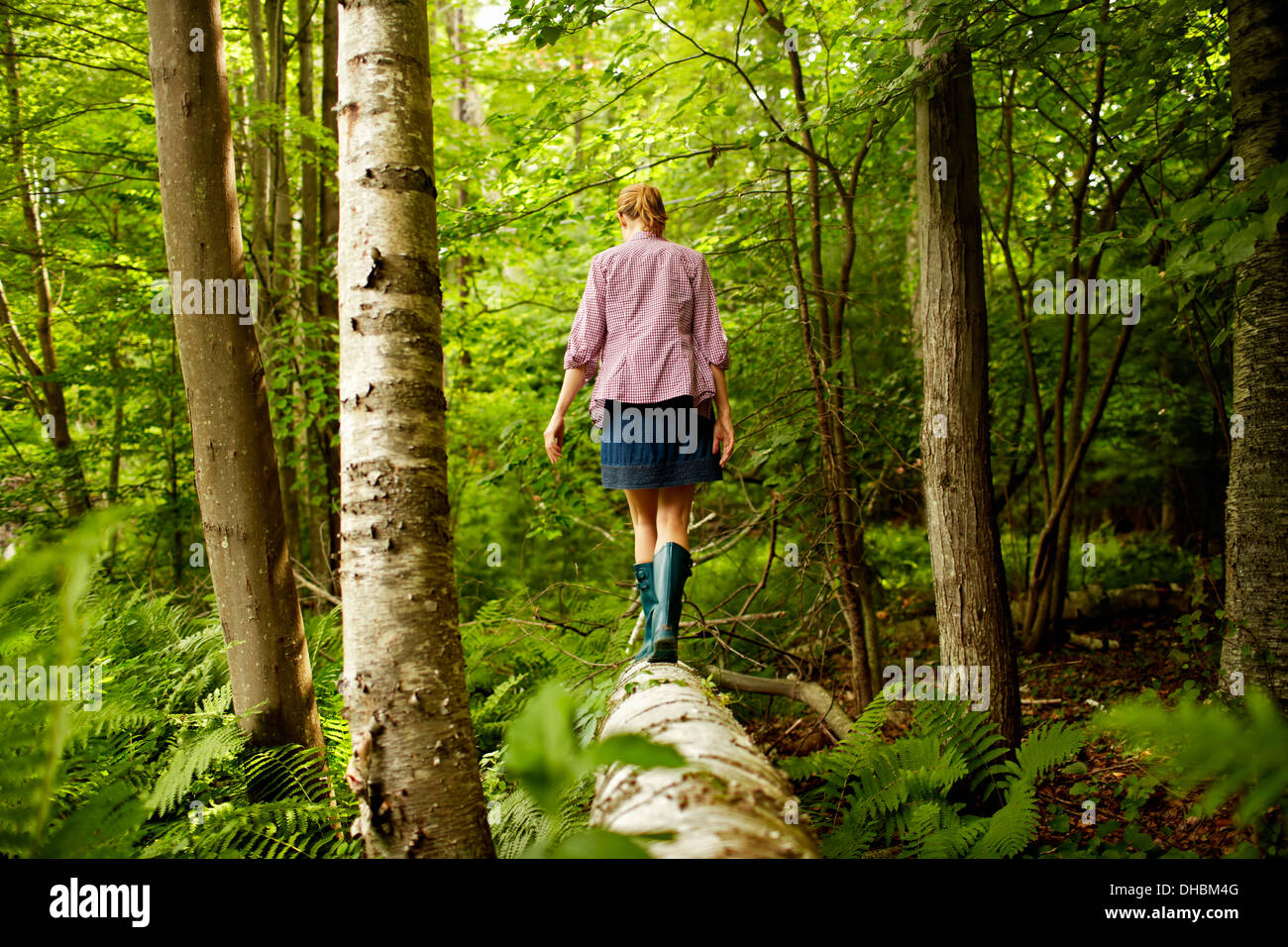 Una donna in wellingtons camminando lungo un albero caduto tronco, nel bosco. Foto Stock