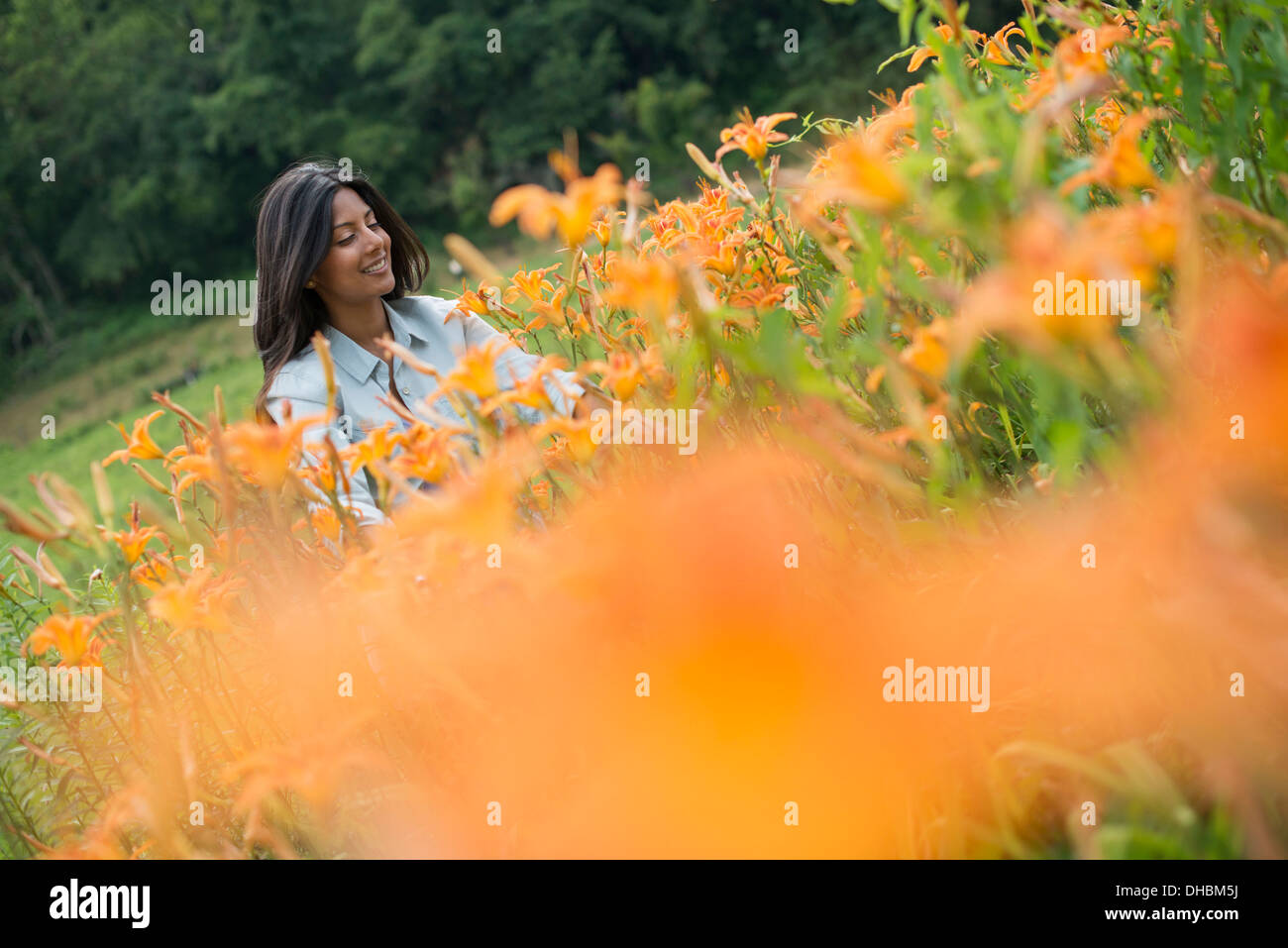 Una donna in piedi tra piante fiorite in una fattoria. Foto Stock