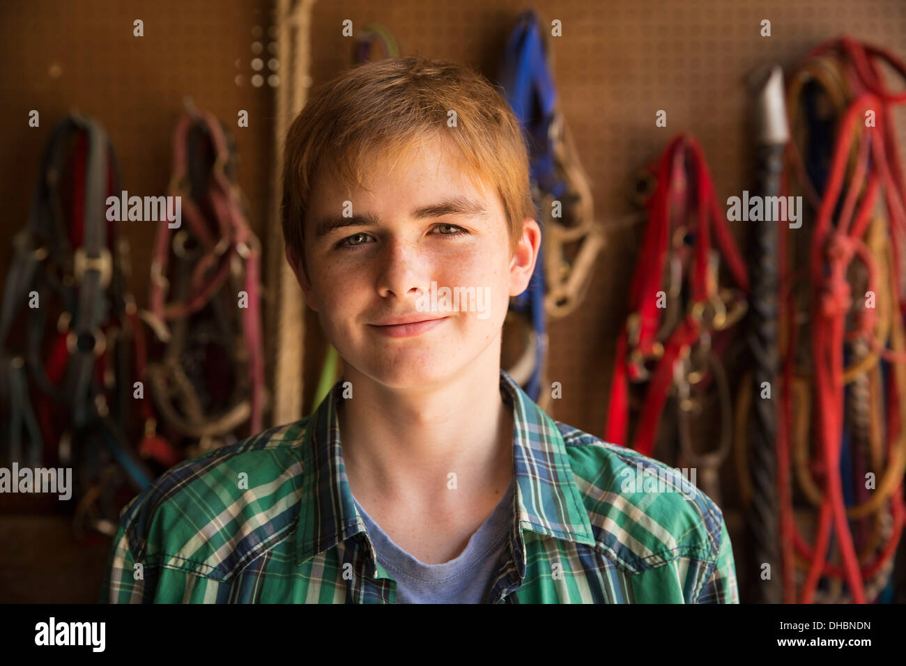 Un agriturismo biologico nelle Catskills Mountains. Una persona in piedi in una bulletta stanza in una stalla. Foto Stock