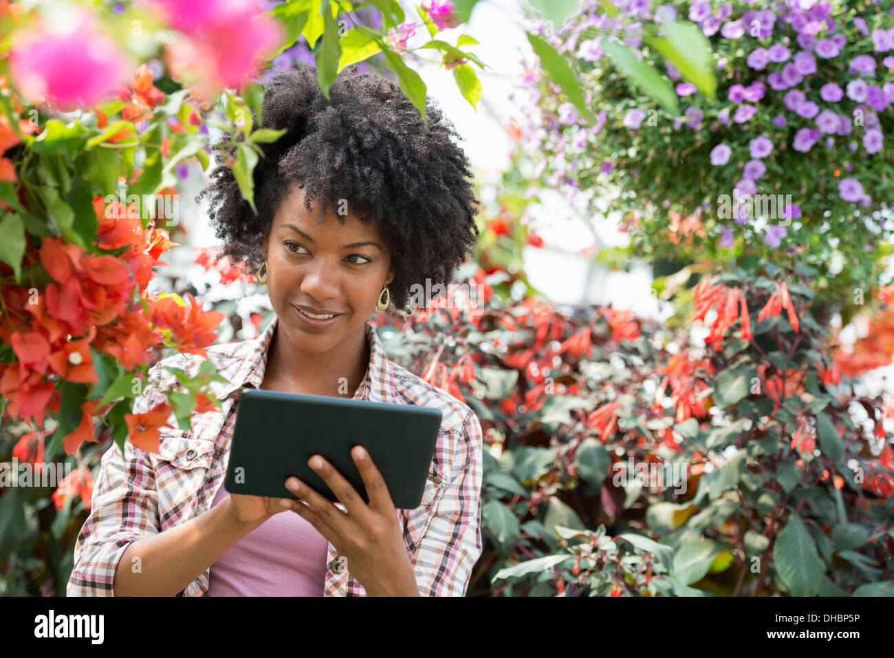 Una donna in un vivaio circondato da piante fiorite e foglie verdi. Foto Stock