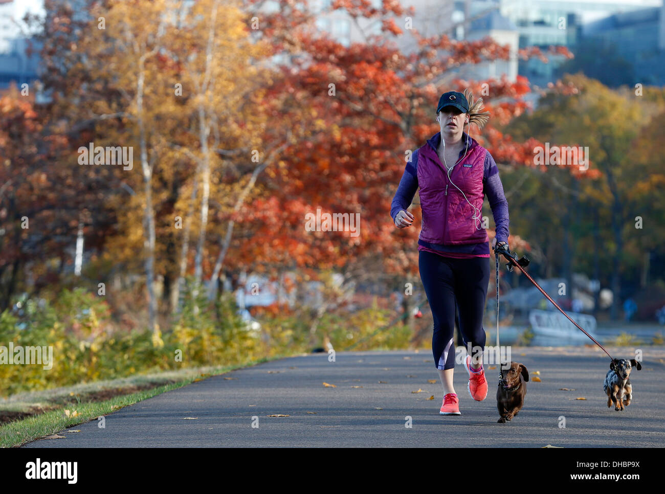 Donne jogging con i cani di piccola taglia sulla spianata di Boston, Massachusetts, STATI UNITI D'AMERICA Foto Stock
