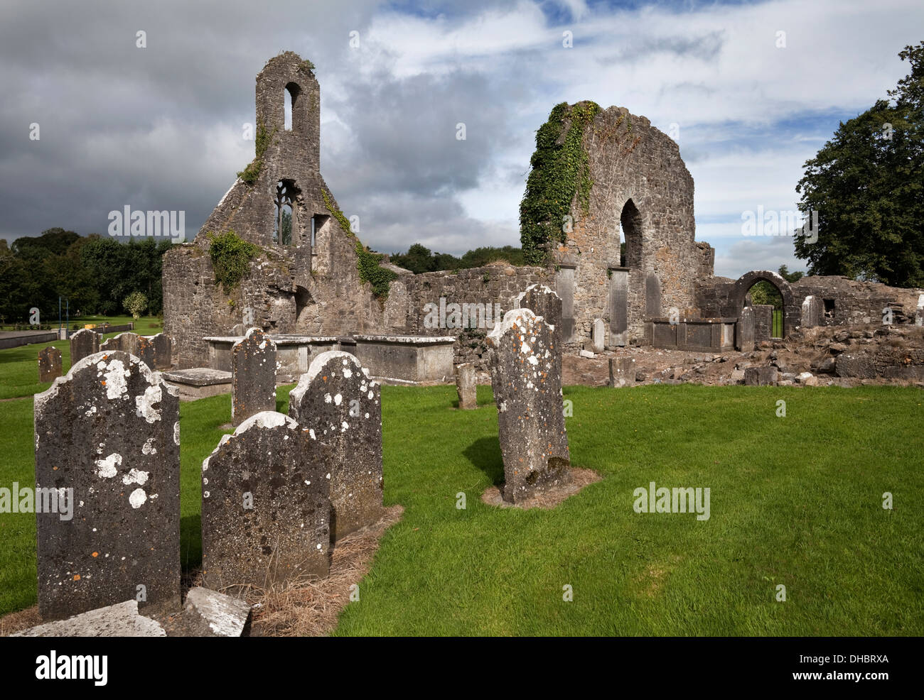 La grande chiesa o Templemore Abbey (stabilito 1200), Templemore, nella contea di Tipperary, Irlanda Foto Stock