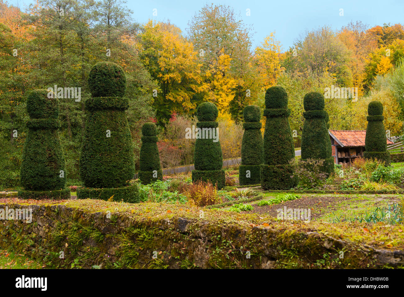 Vintage giardino di erbe aromatiche, Germania, Europa Foto Stock