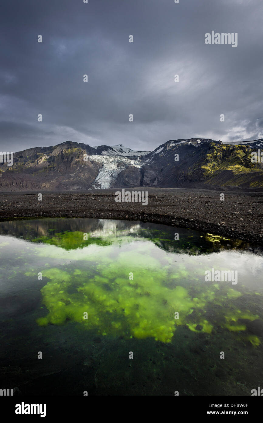 Stagno con alghe e cenere. Ghiacciaio Gigjokull, Islanda Foto Stock