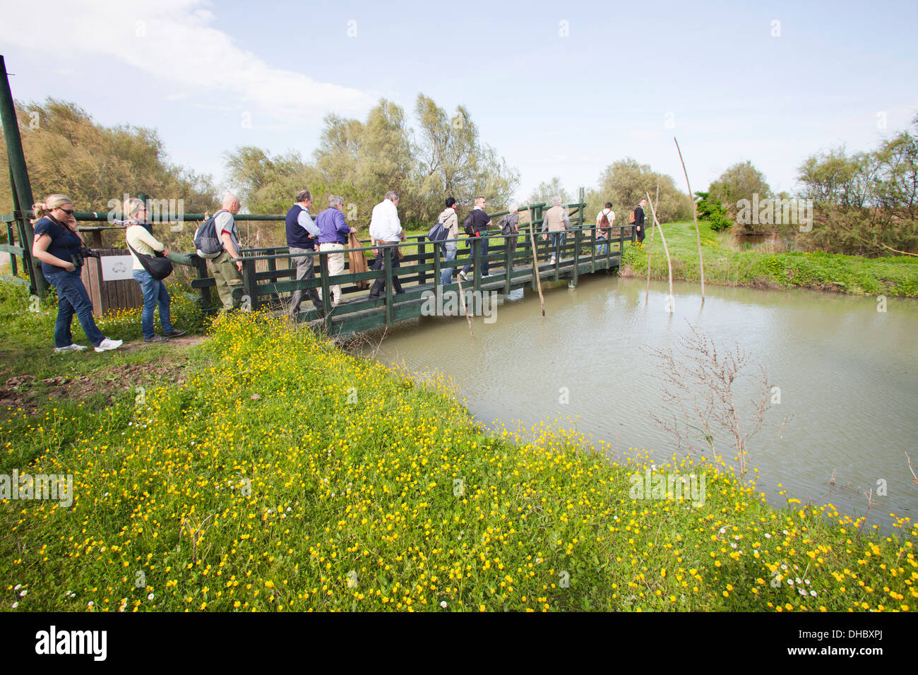 Oasi di Boscoforte, Valli di Comacchio, provincia di Ferrara, delta del po, emilia romagna, Italia, Europa Foto Stock
