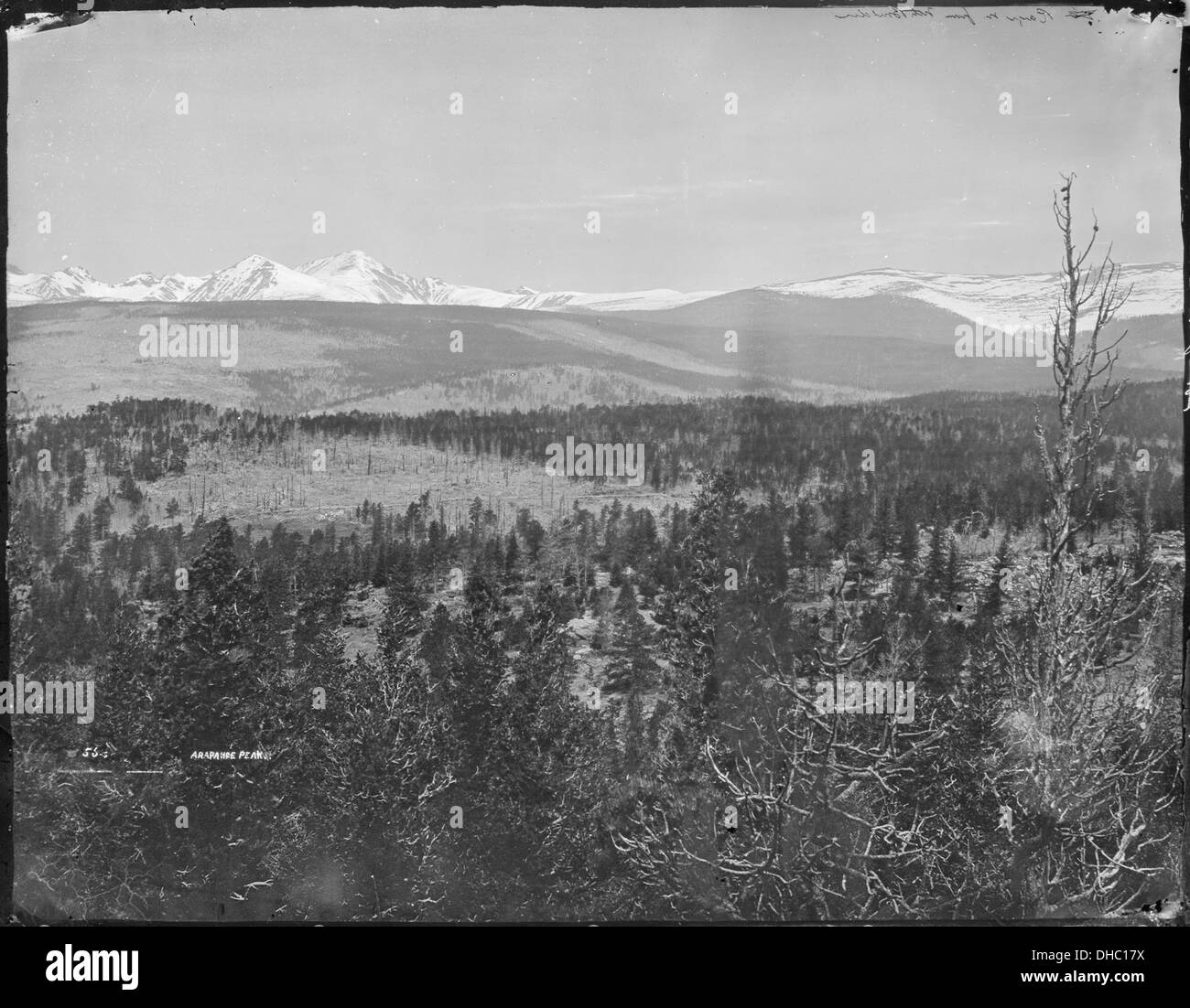 Gamma anteriore delle Montagne Rocciose dalla prospettiva di montagna del nord del Nord Boulder, Colorado, mostrando Arapaho picco. 517675 Foto Stock