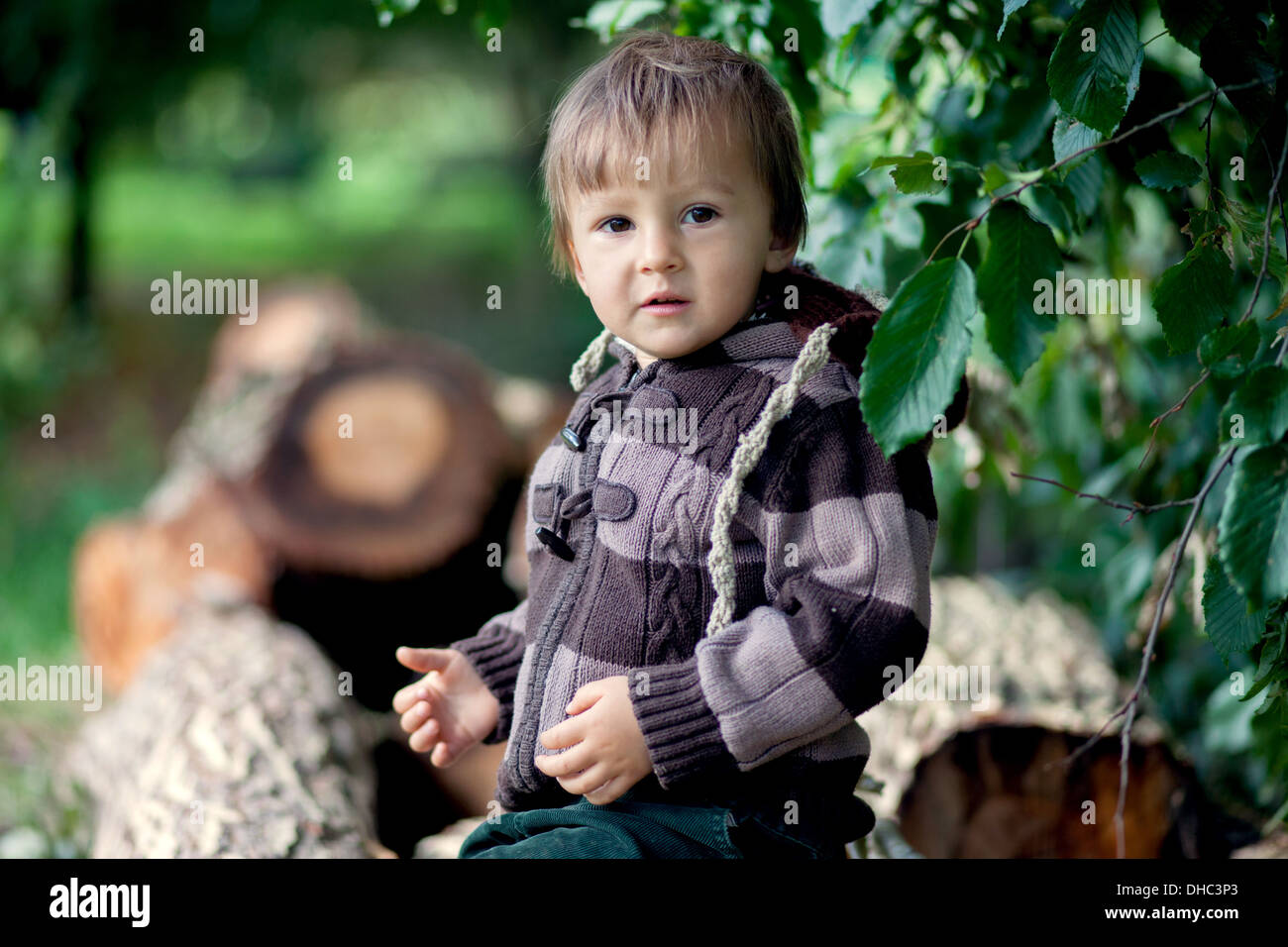 Ritratto di un ragazzo in un parco Foto Stock