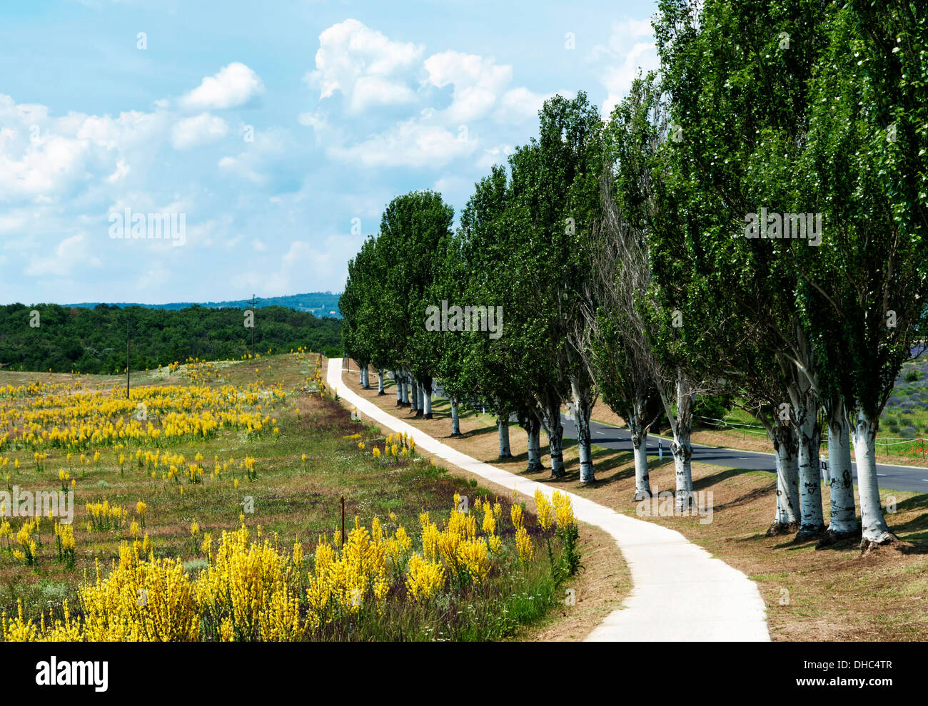 Strada di bicicletta nella Penisola di Tihany, Ungheria Foto Stock