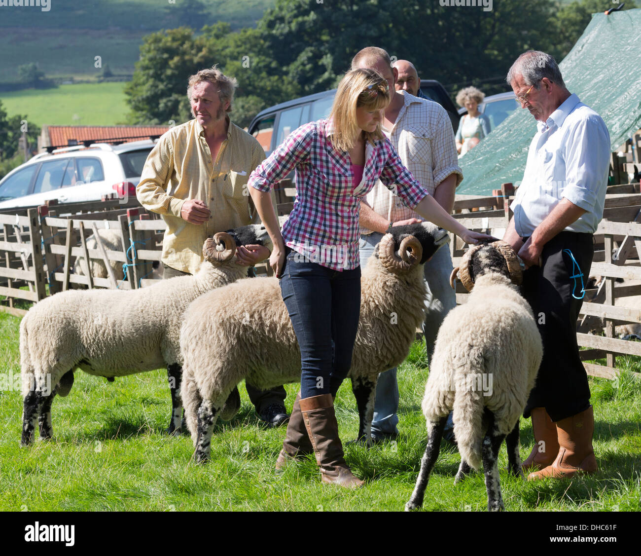 Farndale agricola annuale mostra 2013 Foto Stock